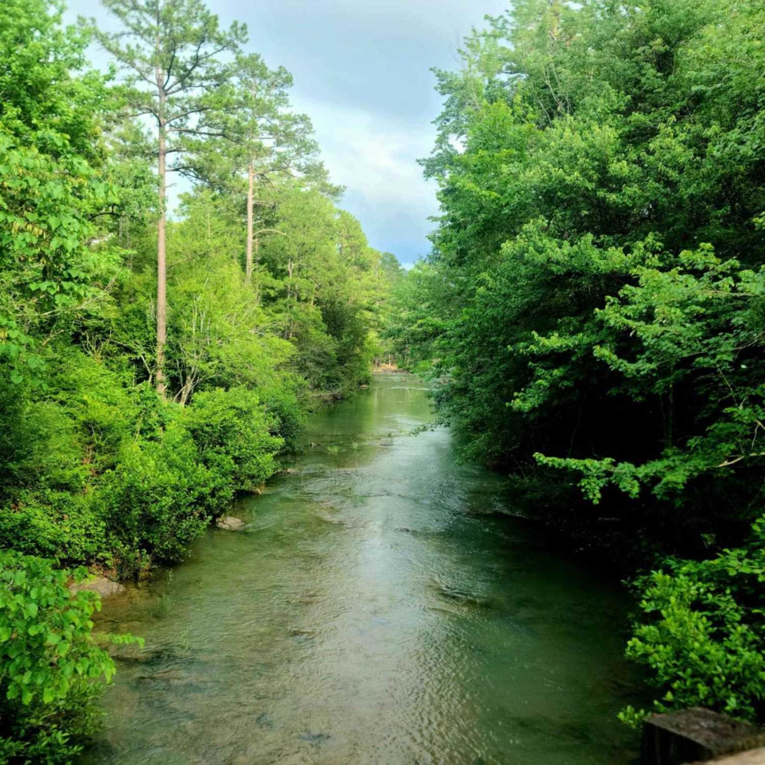 Little Brushy Road - 48