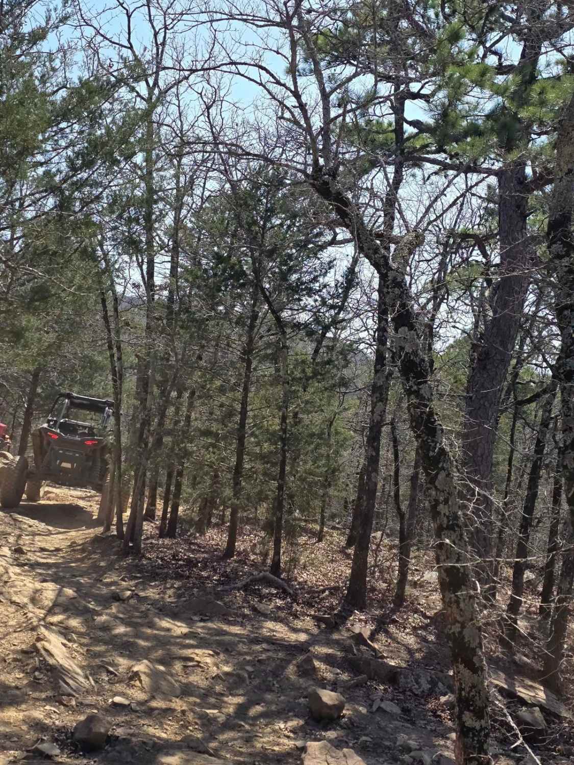 Lookout Access Trail
