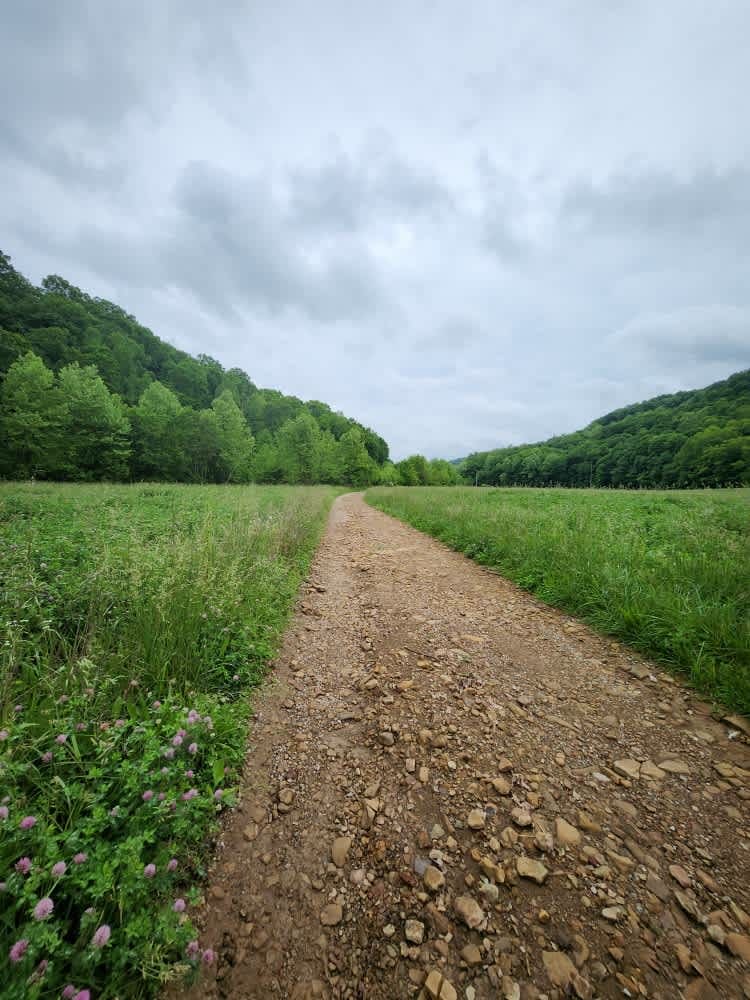 Beech Fork  Road