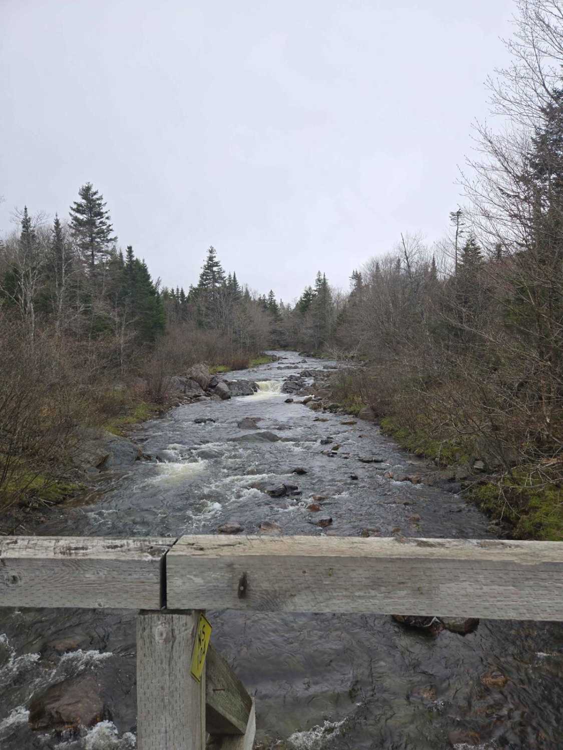 Paterson dam trail