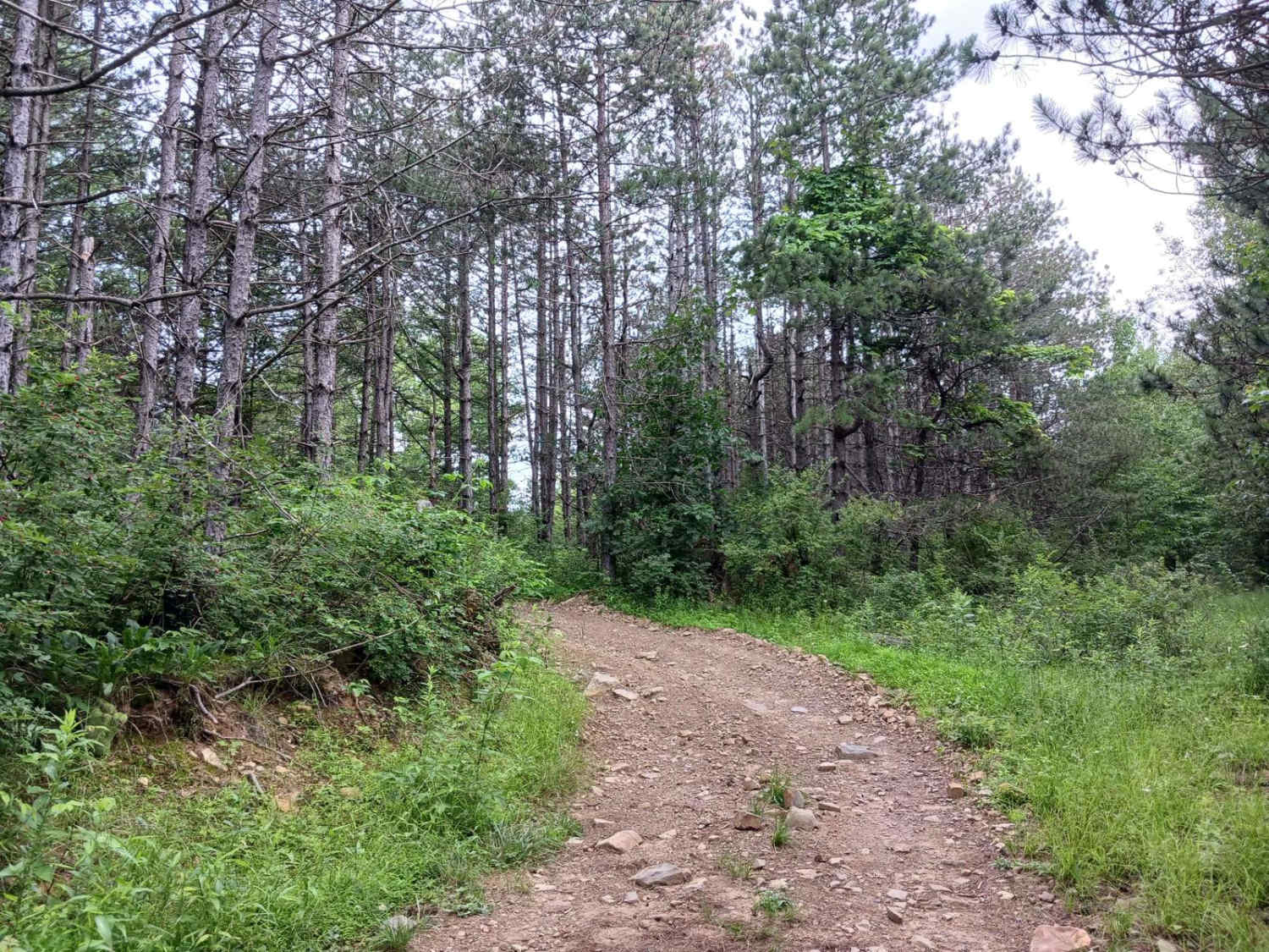 Trail 11F - Rock Run Recreation Area