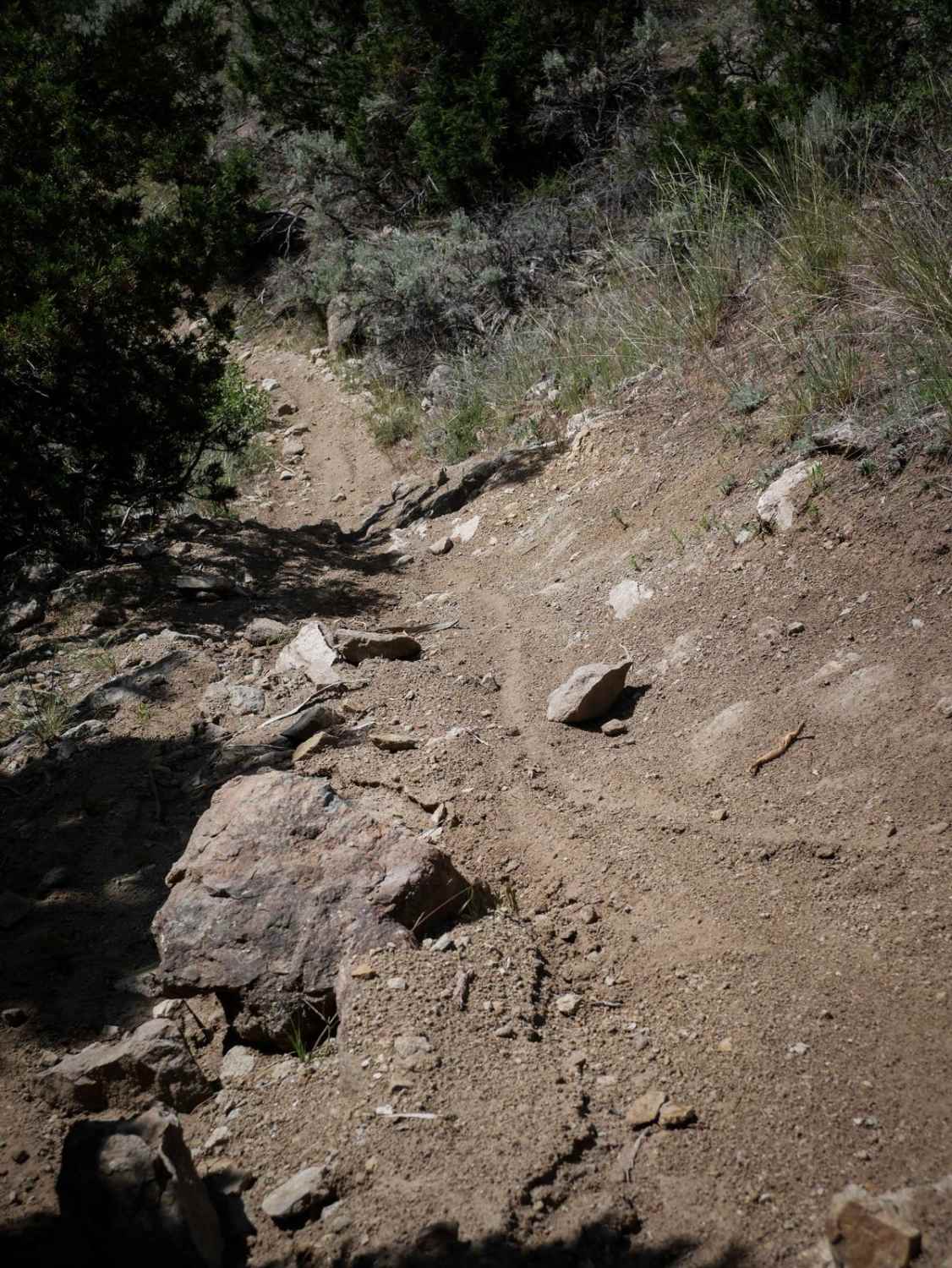 BLM 9 (Dry Creek Single Track) 