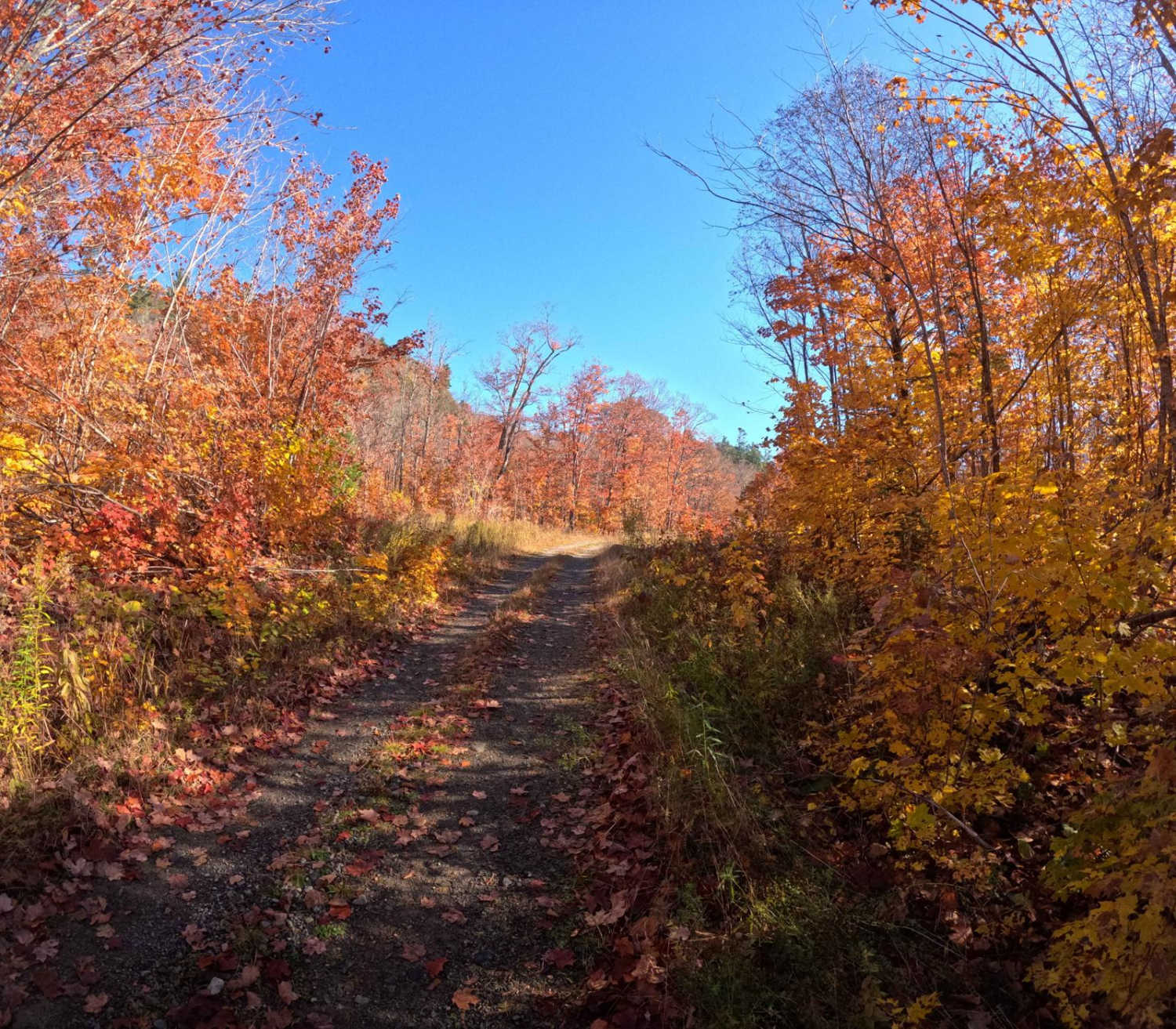 North Carp Lake Road (Tribag mine Alternate)