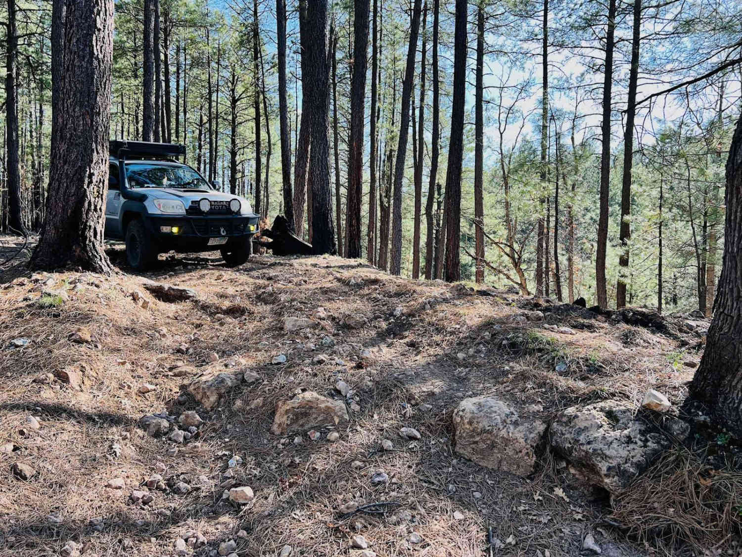 Corduroy Wash Trail