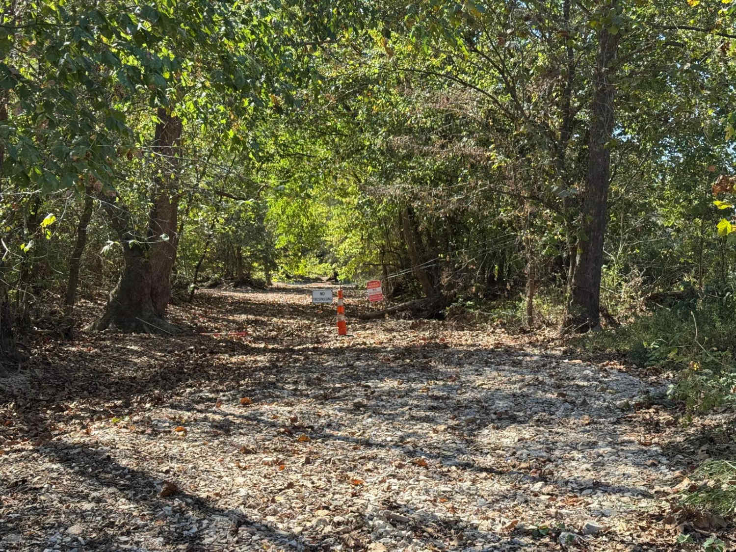 Creek Bed 12