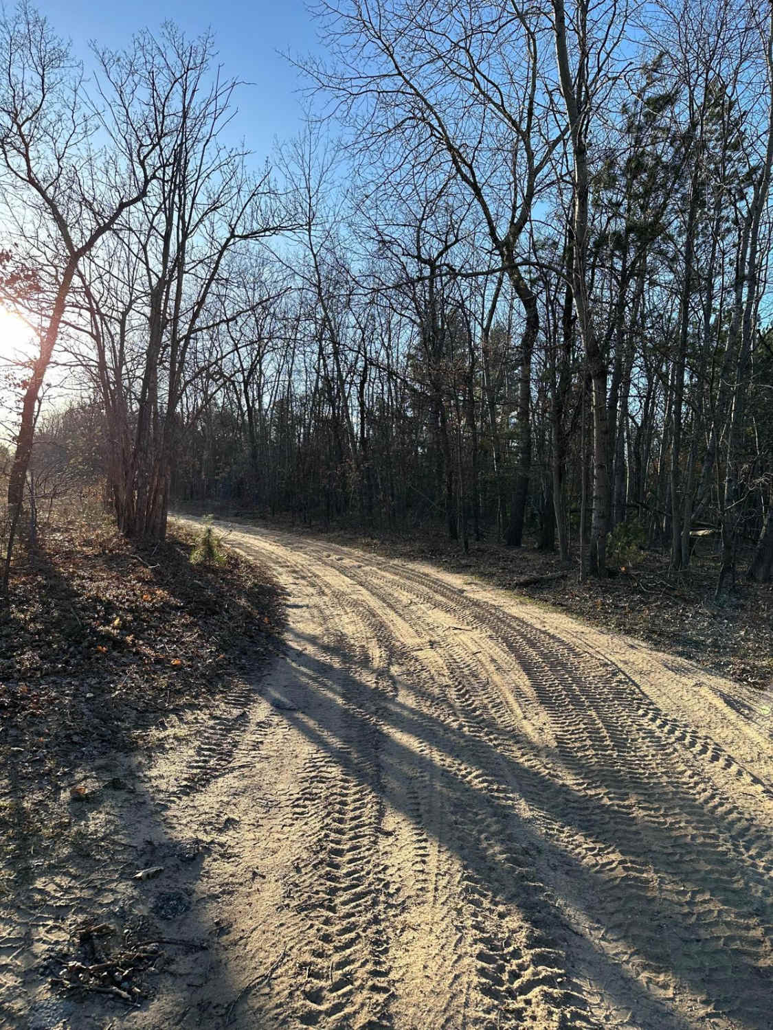 Fawn Road