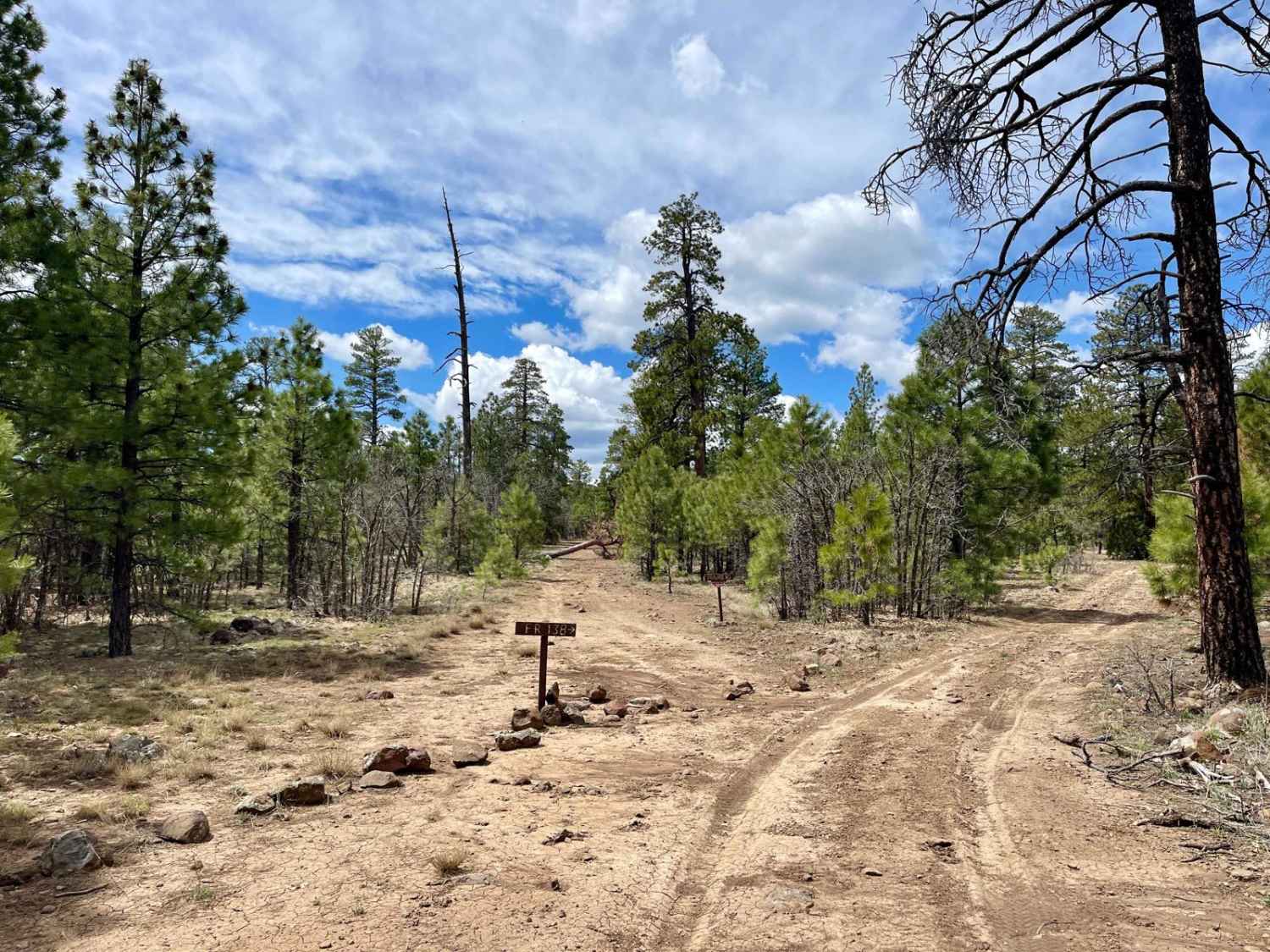 FR138 Along the Ridge