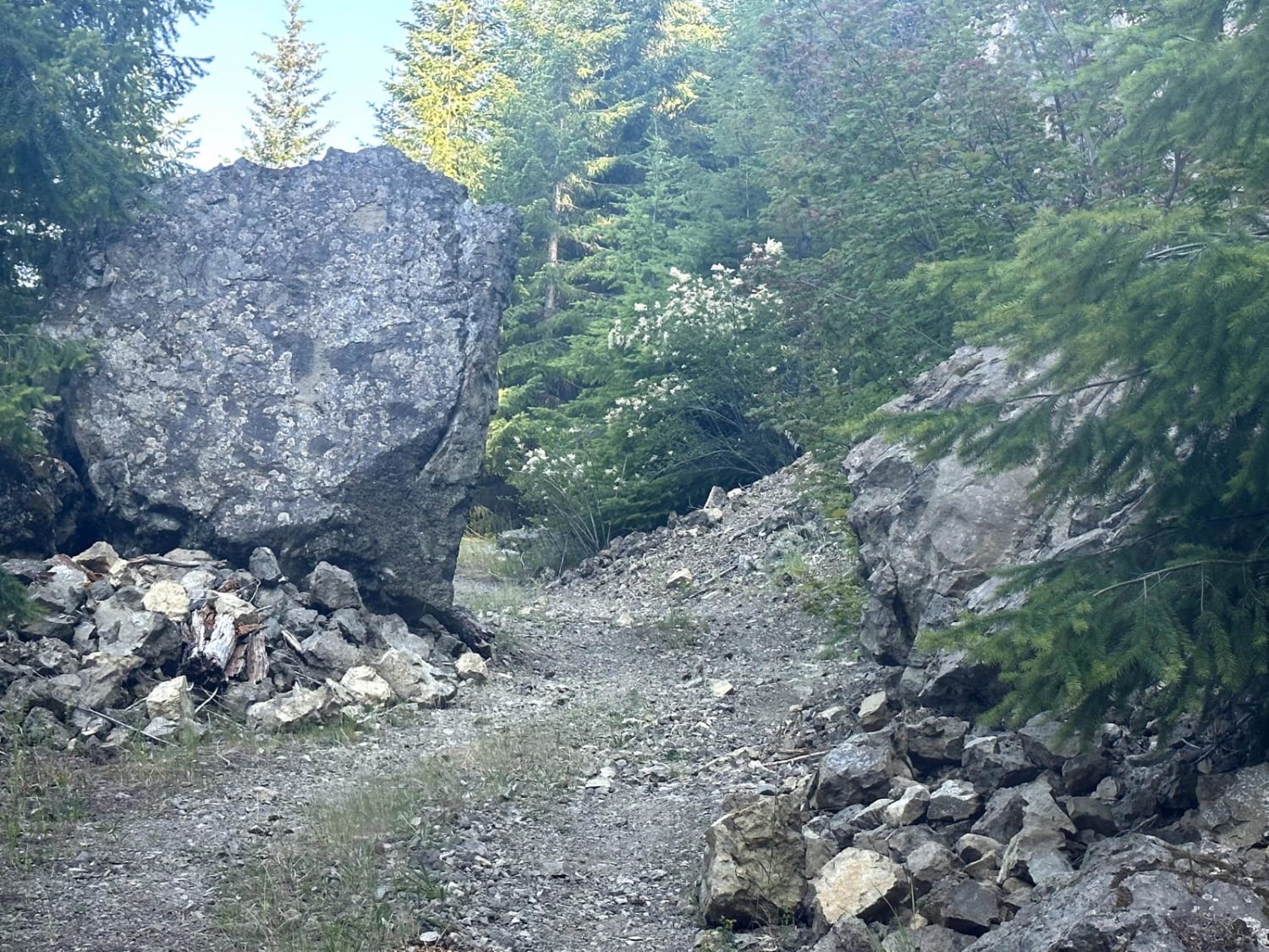 Cave Creek Trail