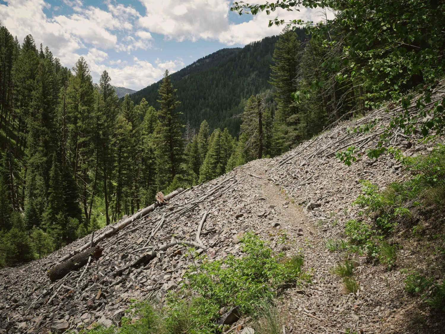 Sheep Creek 