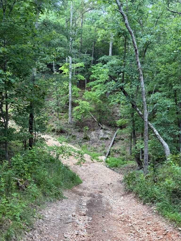 Sara's Trail