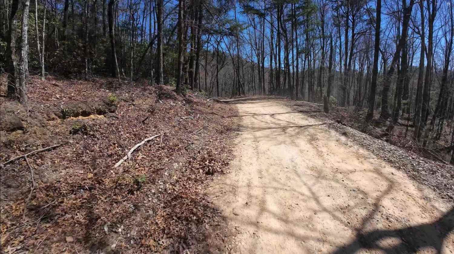 Canebrake Road