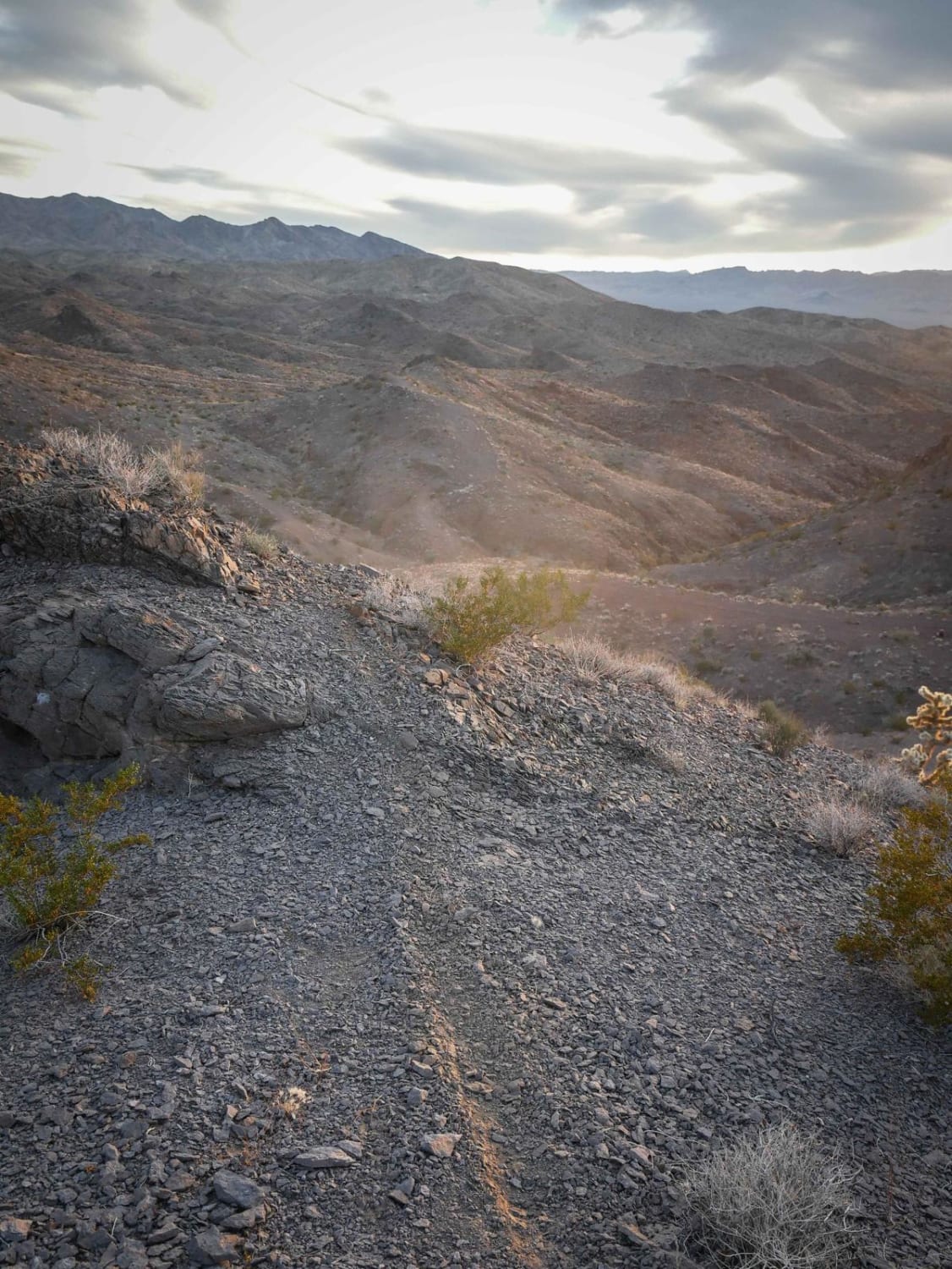 Ridgeline Single Track 