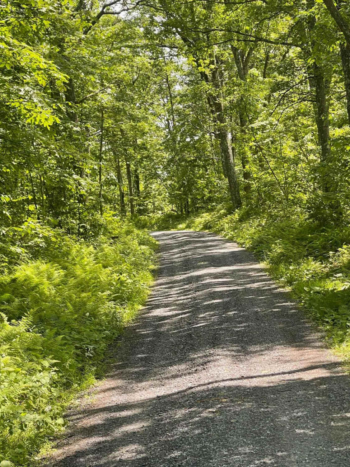 Ramm Road South