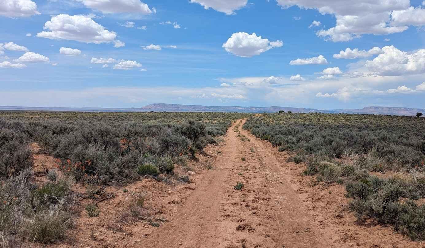 Swapp Tank Trail - BLM176