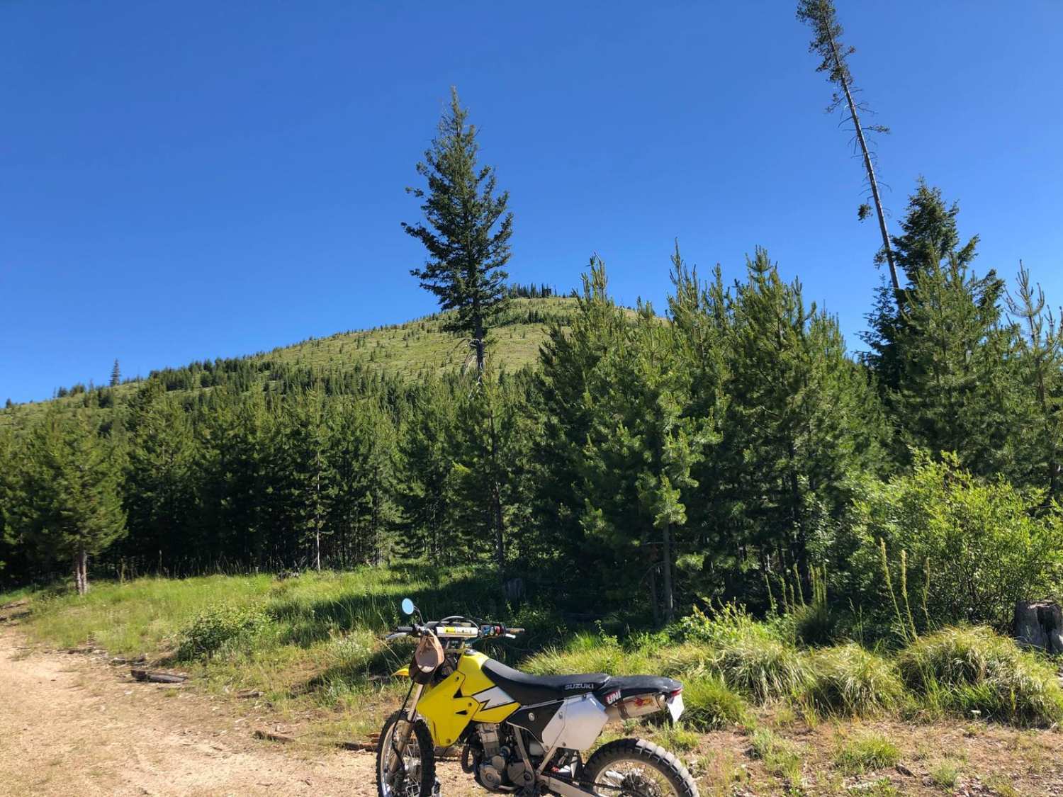 Deer Mountain