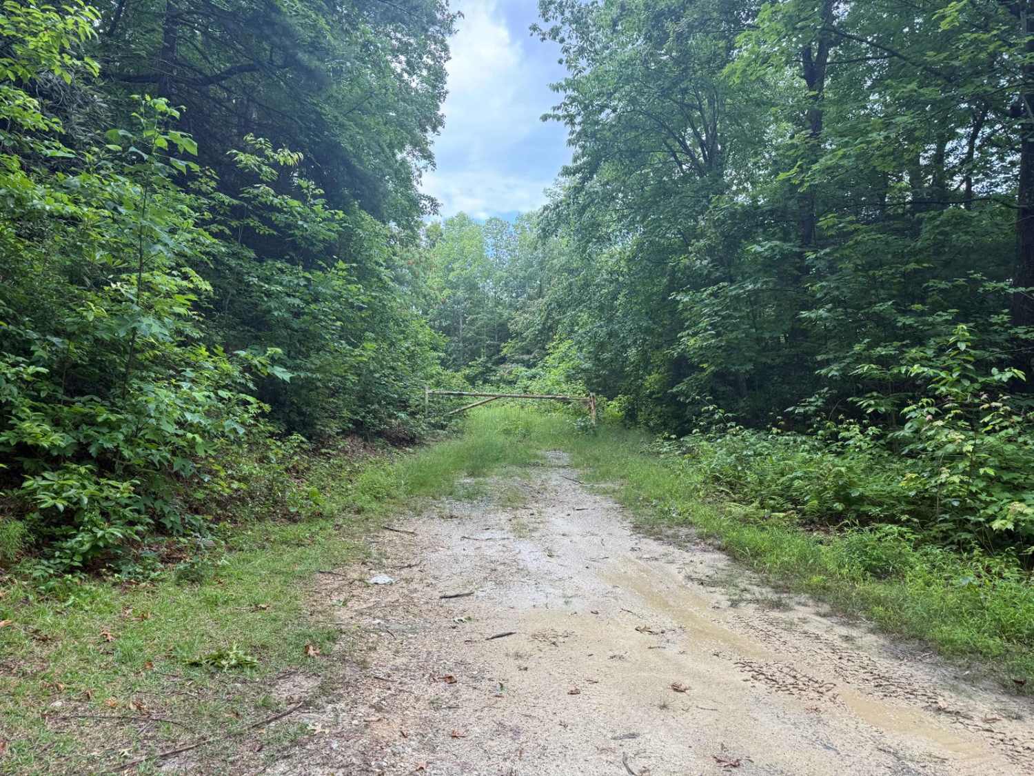 Watauga Turnpike - FS 45