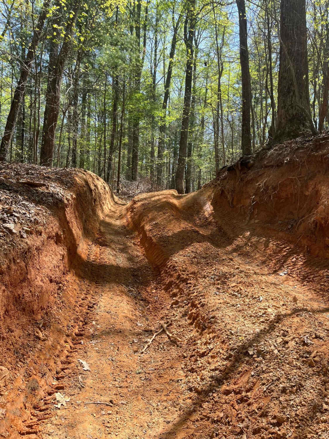 Beasley Knob