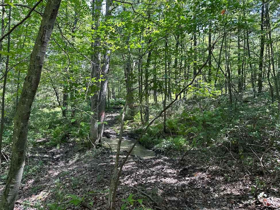 Red Single Track - B