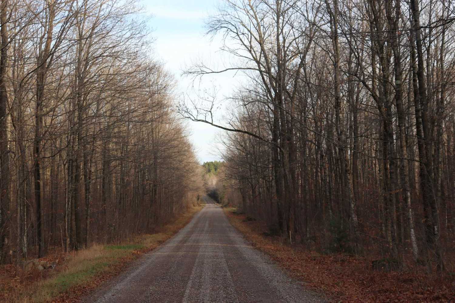 Long Lake Road - FS 2168