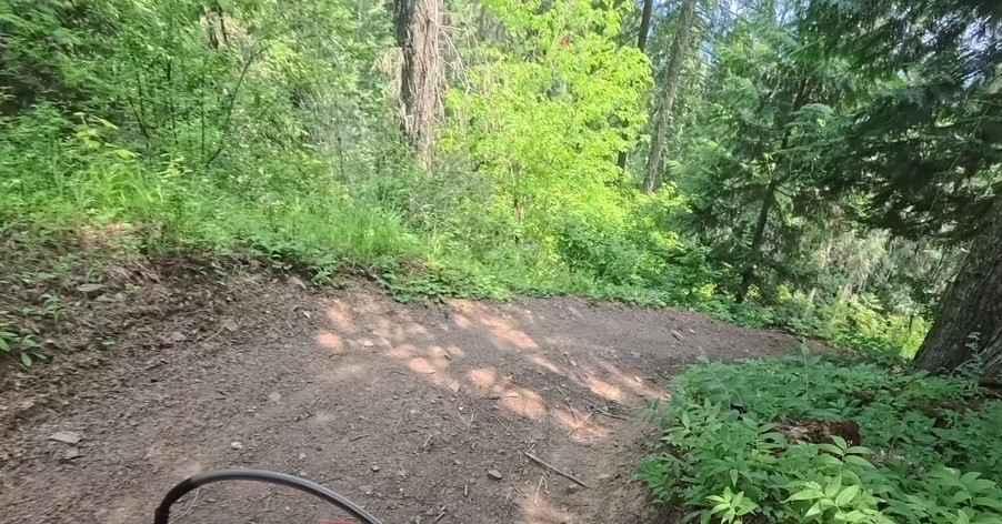 Chesley Creek Trail 19