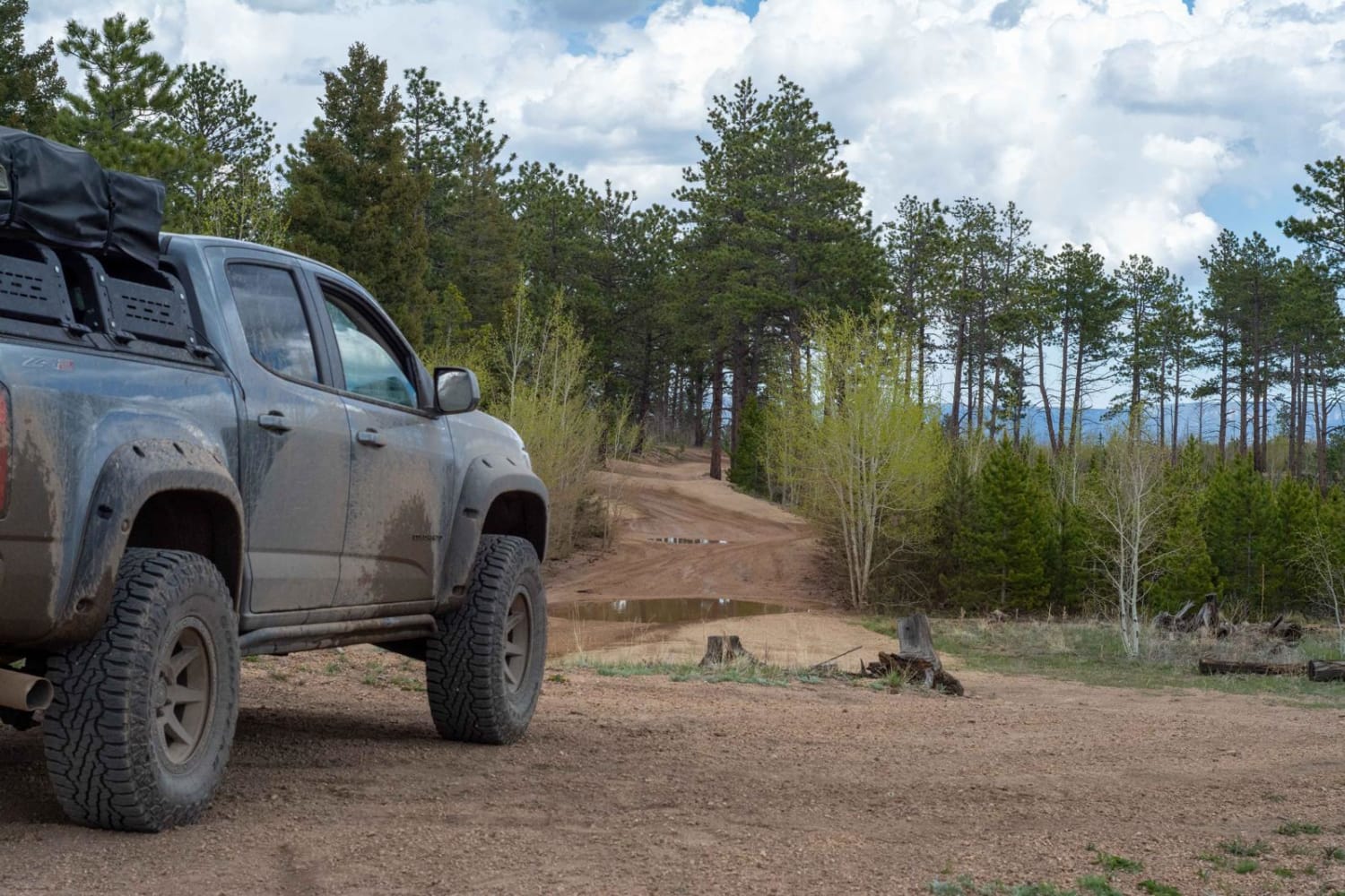 Cedar Mountain Road - Teller County Road 51