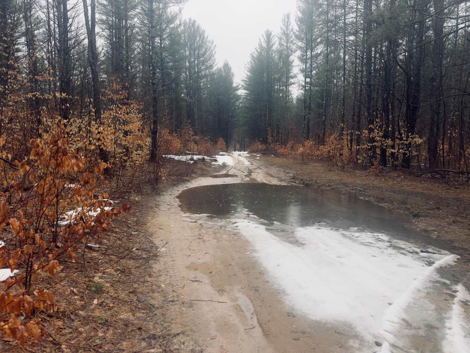 Richardson Road Northwest