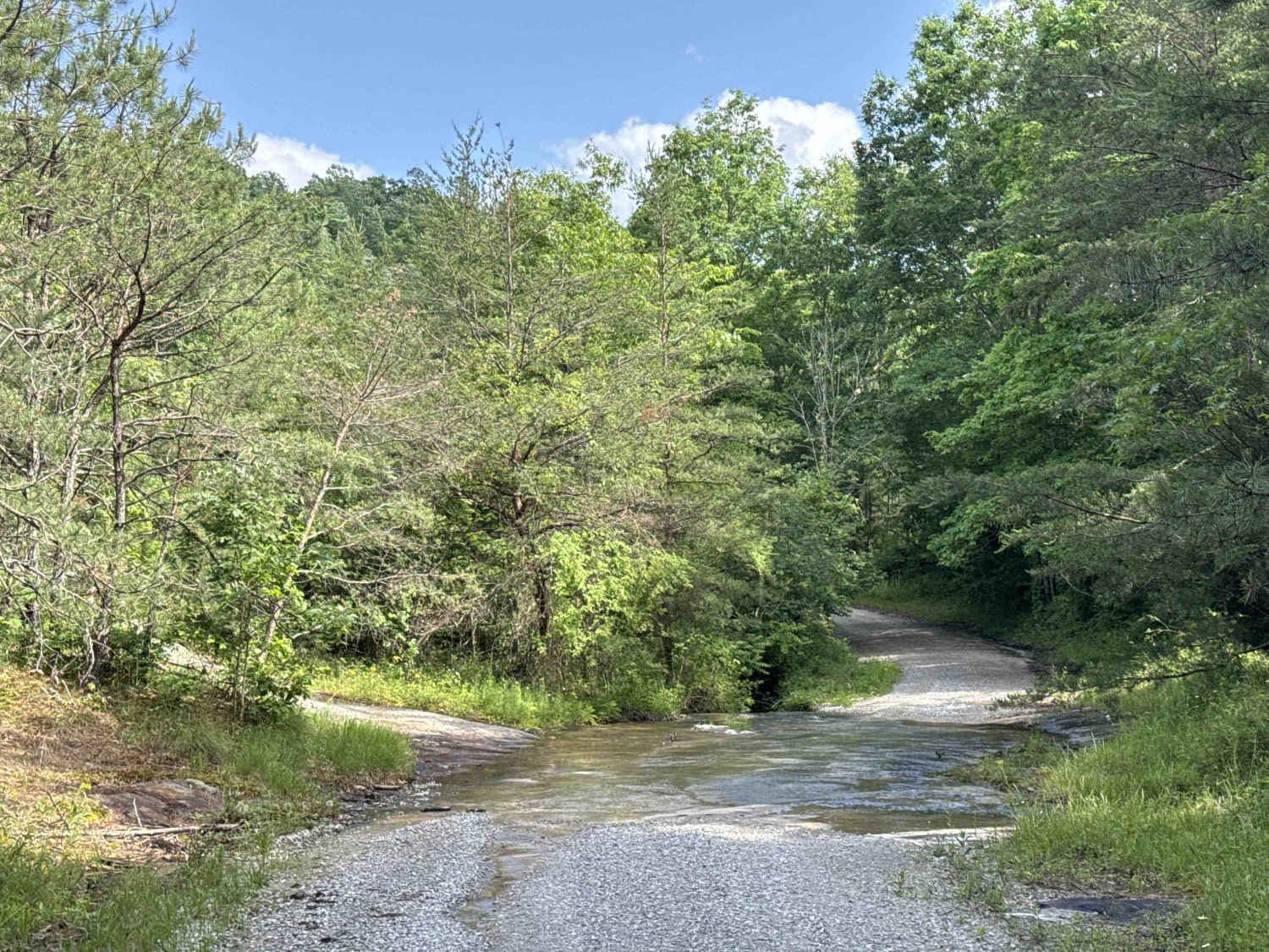 Piney Branch Rd - DBBB