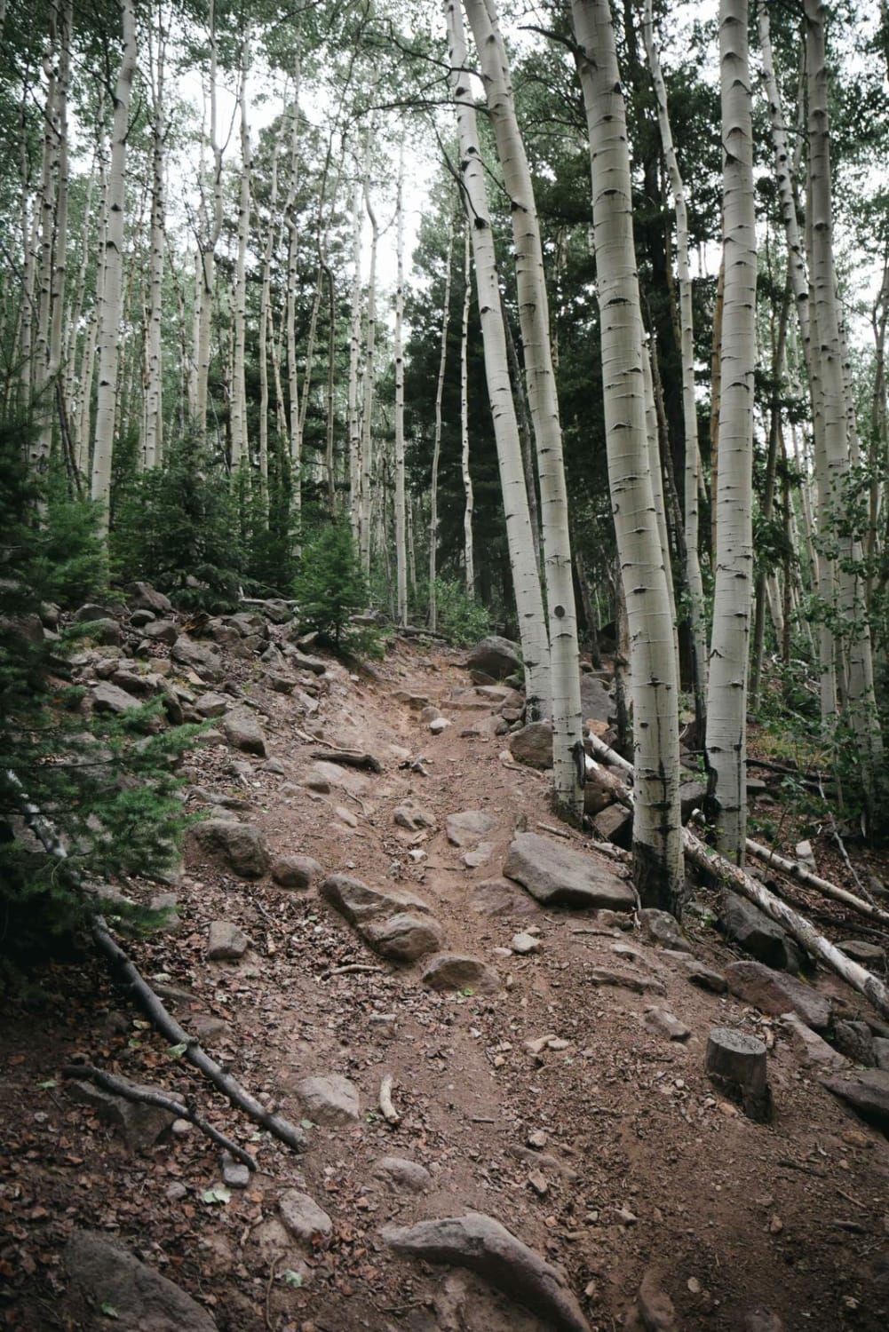 Hot Creek Trail
