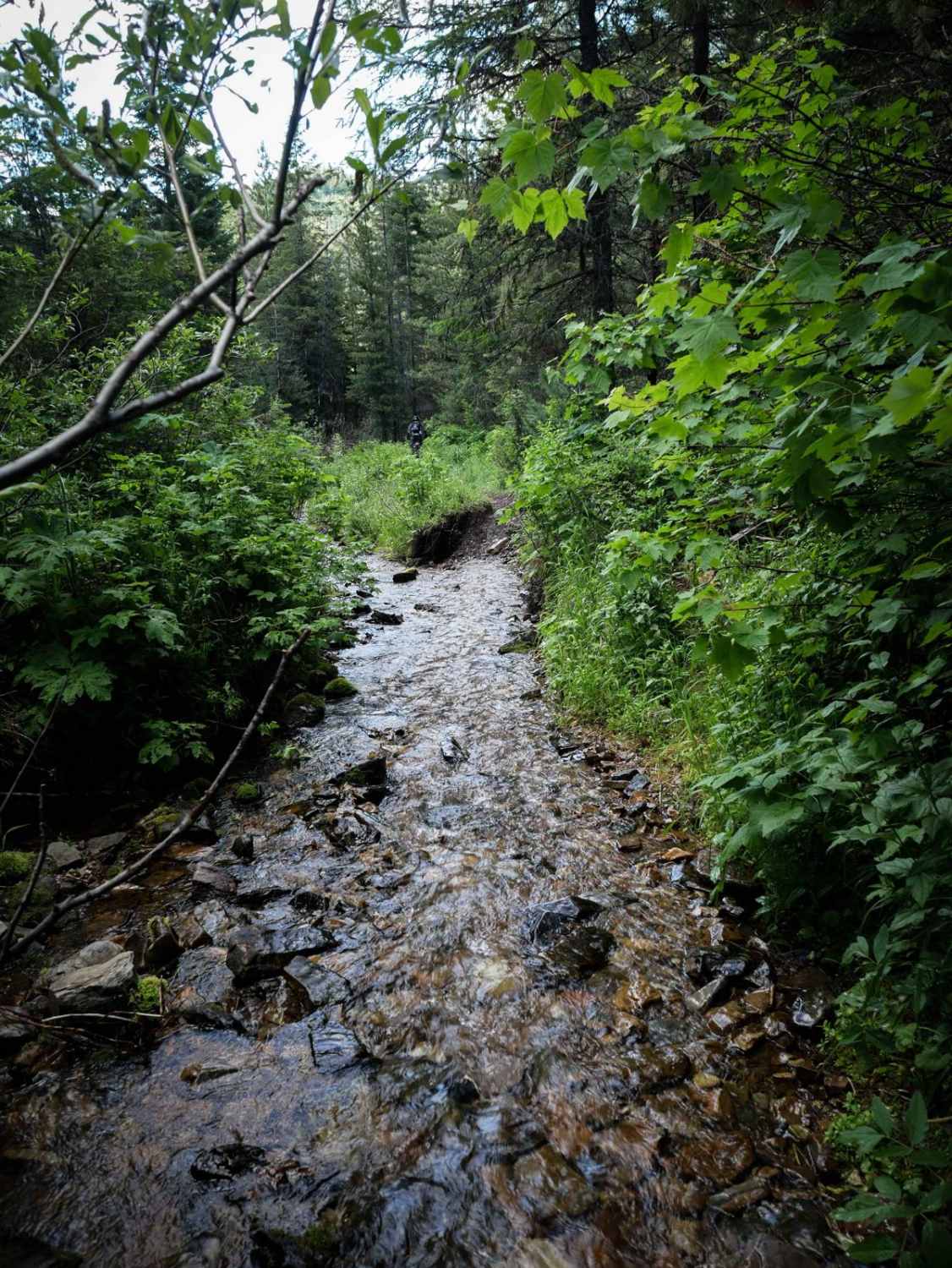 Big Creek 