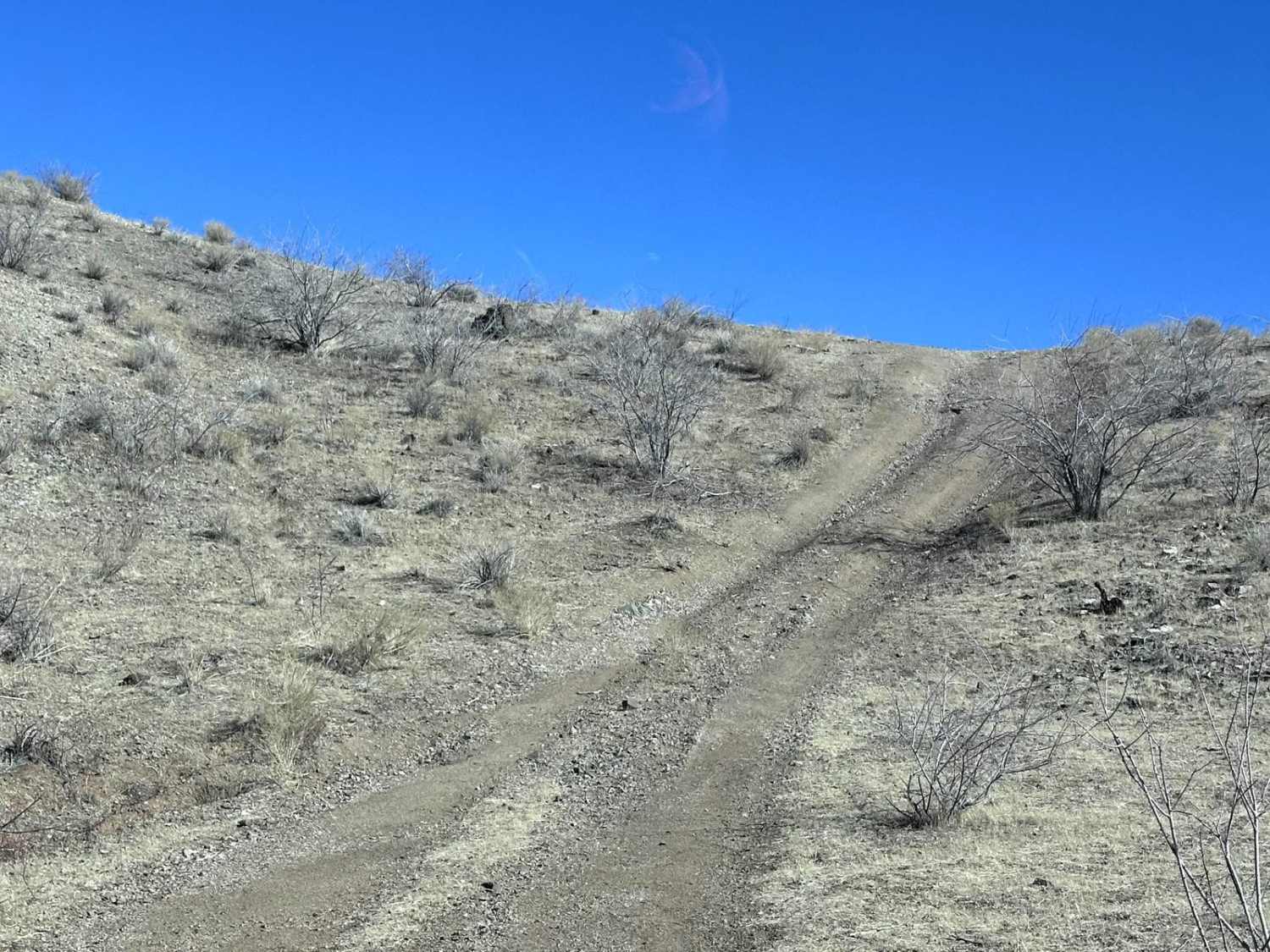 Middle Water Spring Trail