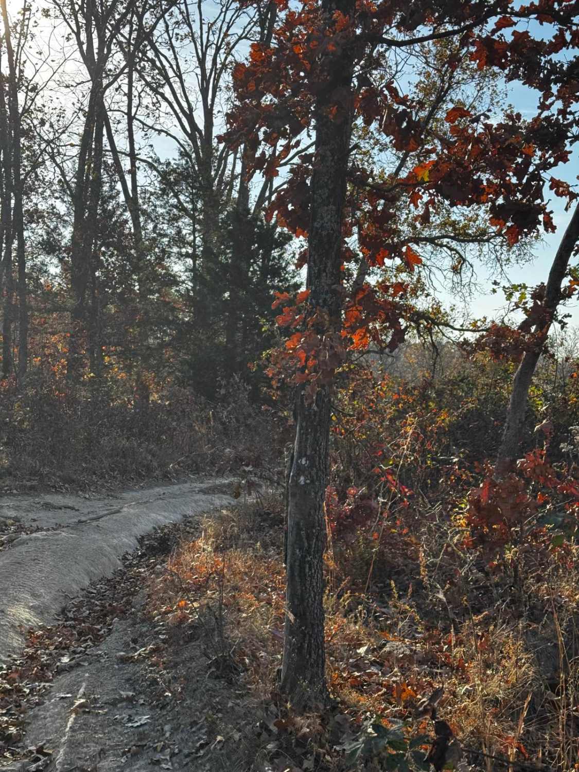 Loggers Trail / Heavens Stairs Connection