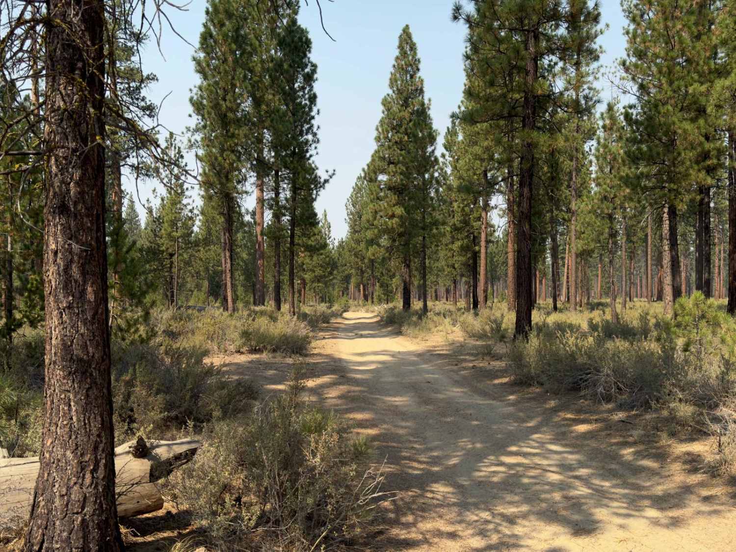 Wickiup Butte Trail