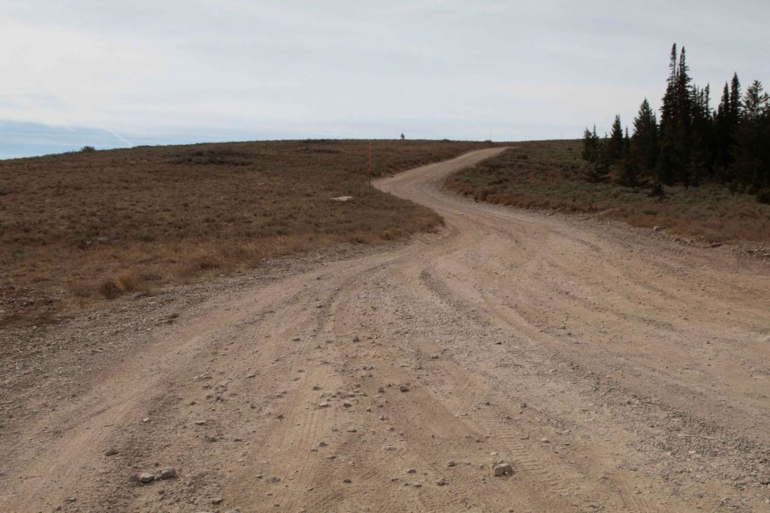 Curtis Creek Road (FR059)