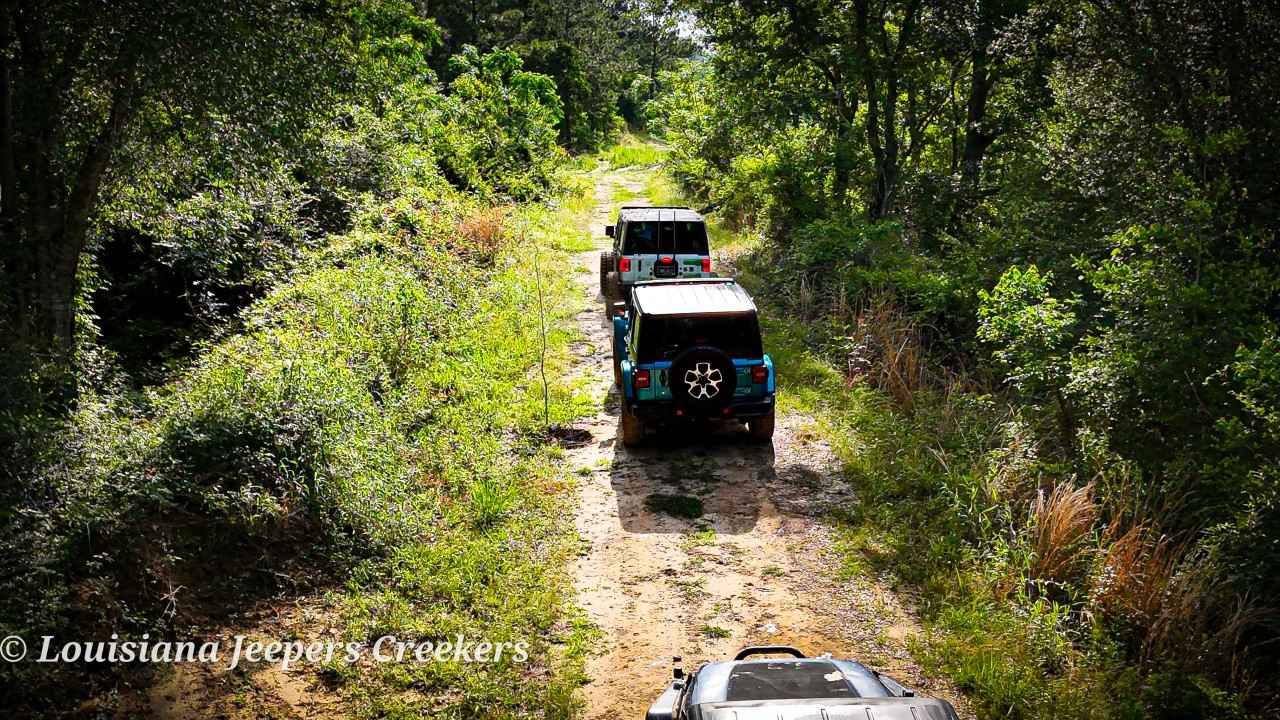 Old Creek Bed
