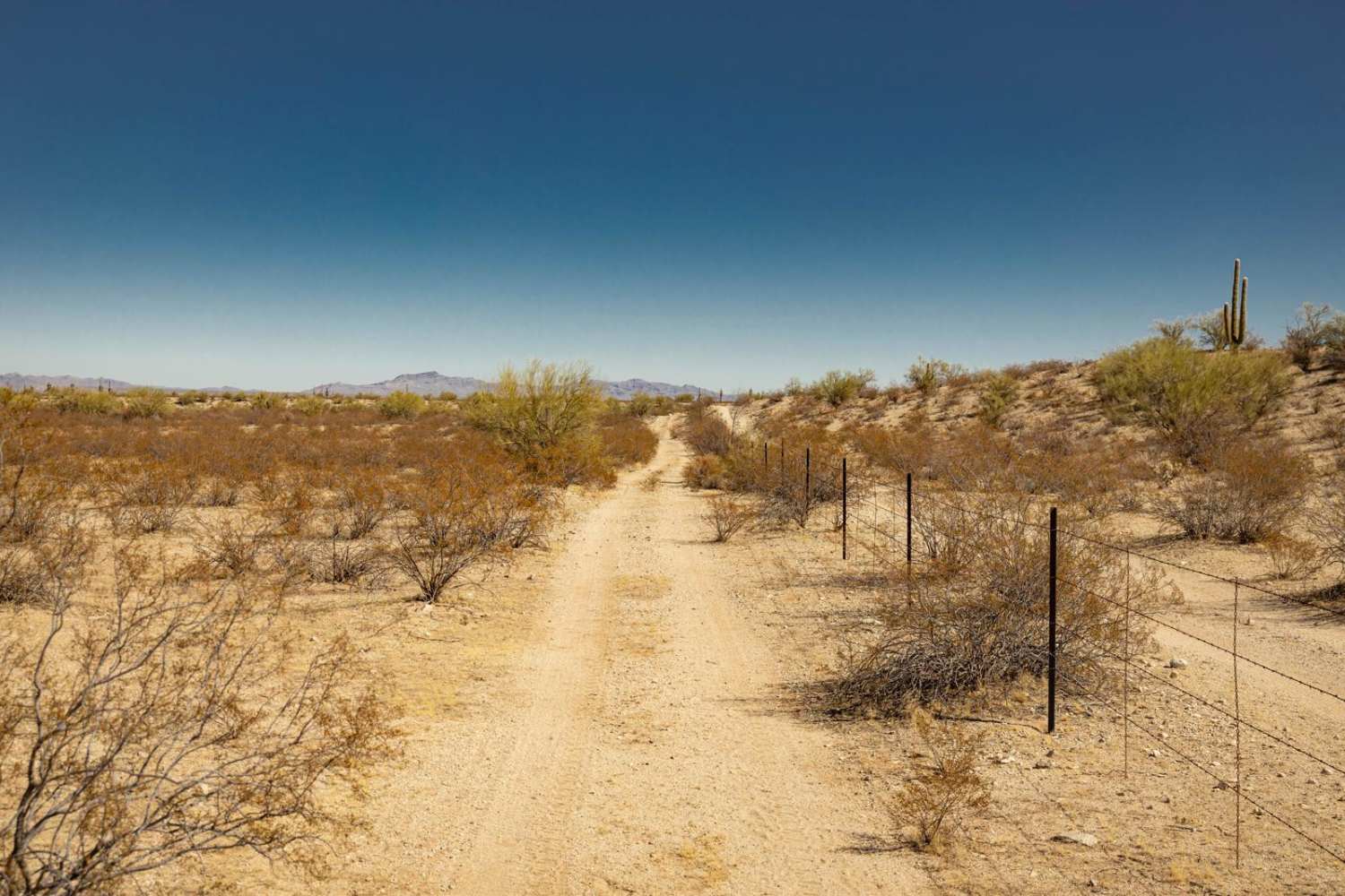 Fenceline Runout