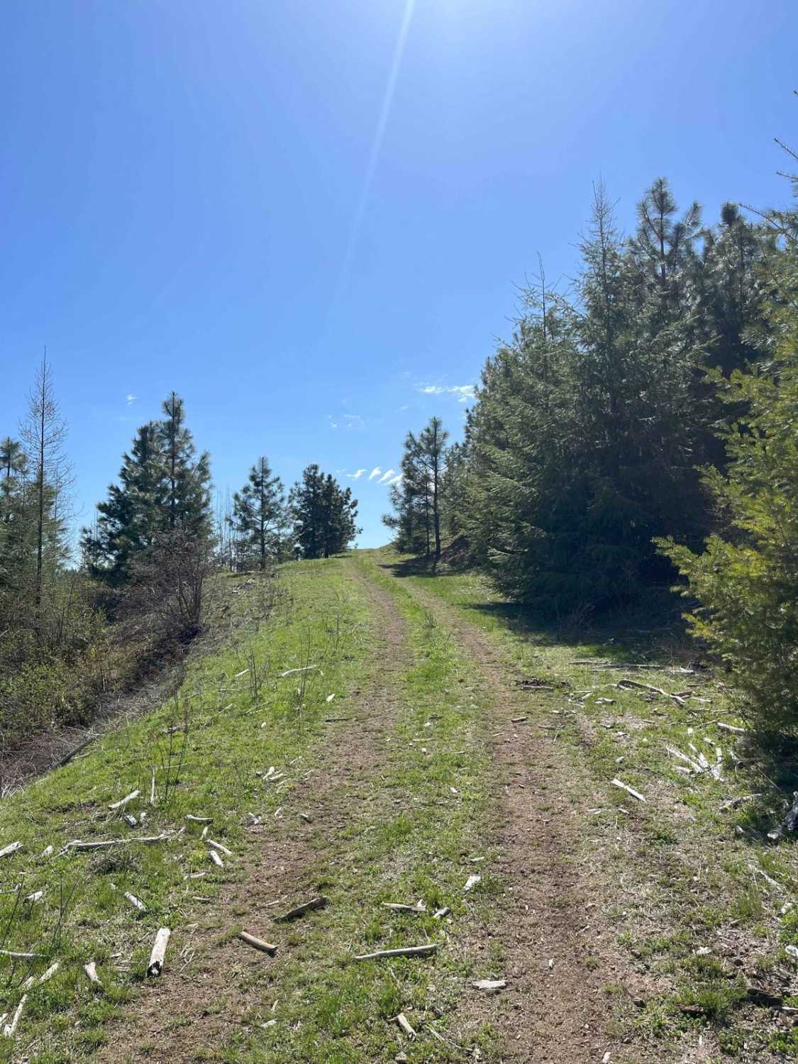 End of Brush Creek Road