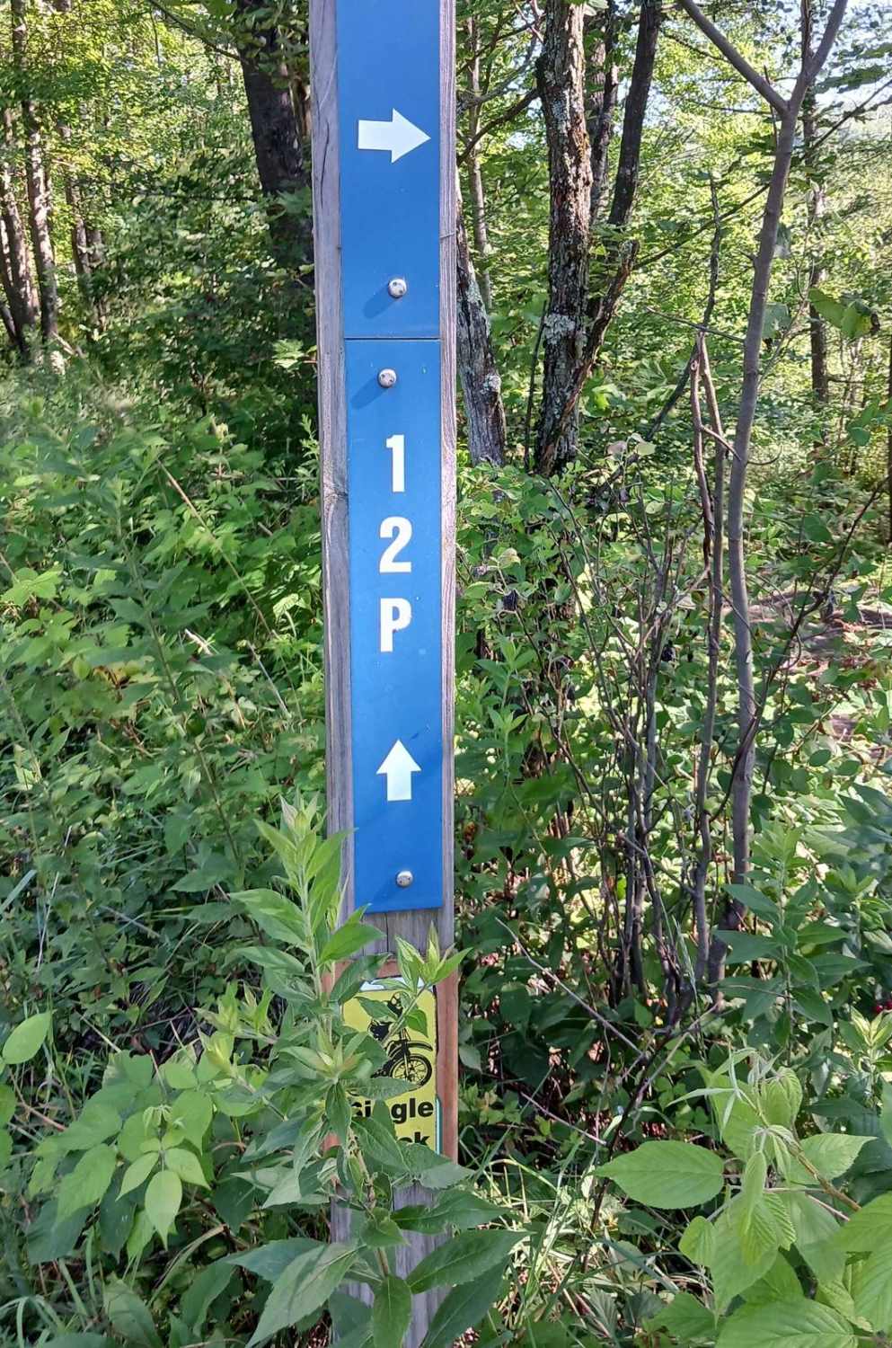 Trail 12P - Rock Run Recreation Area