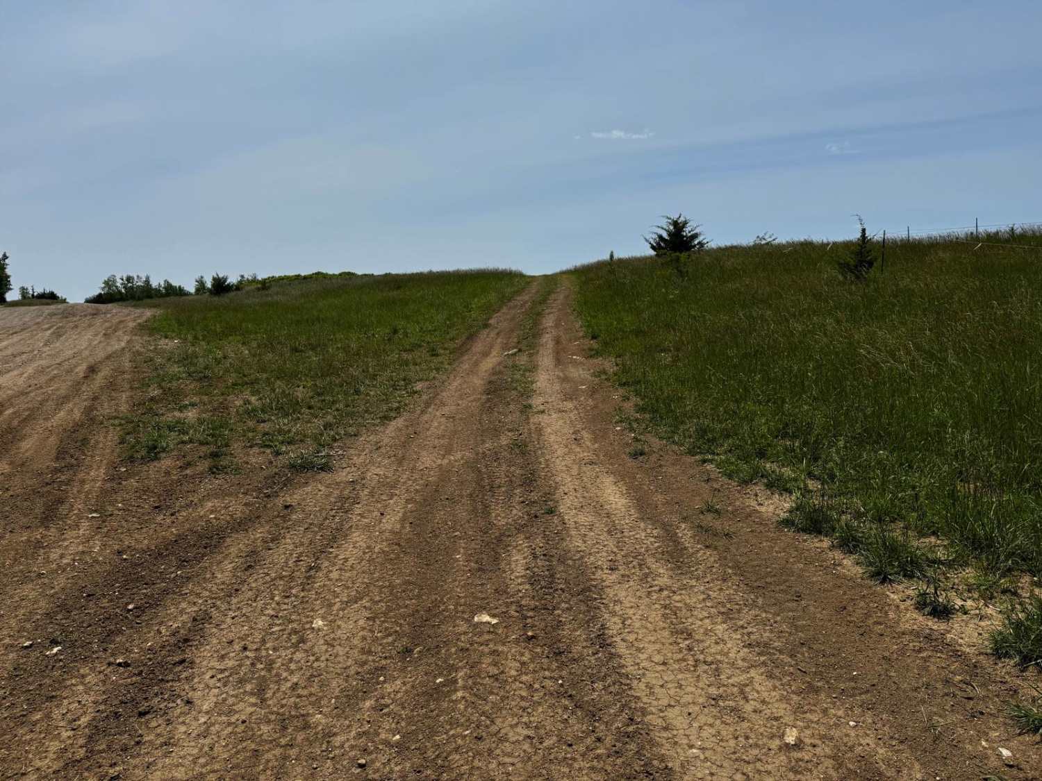 Green 7 Boundary Run