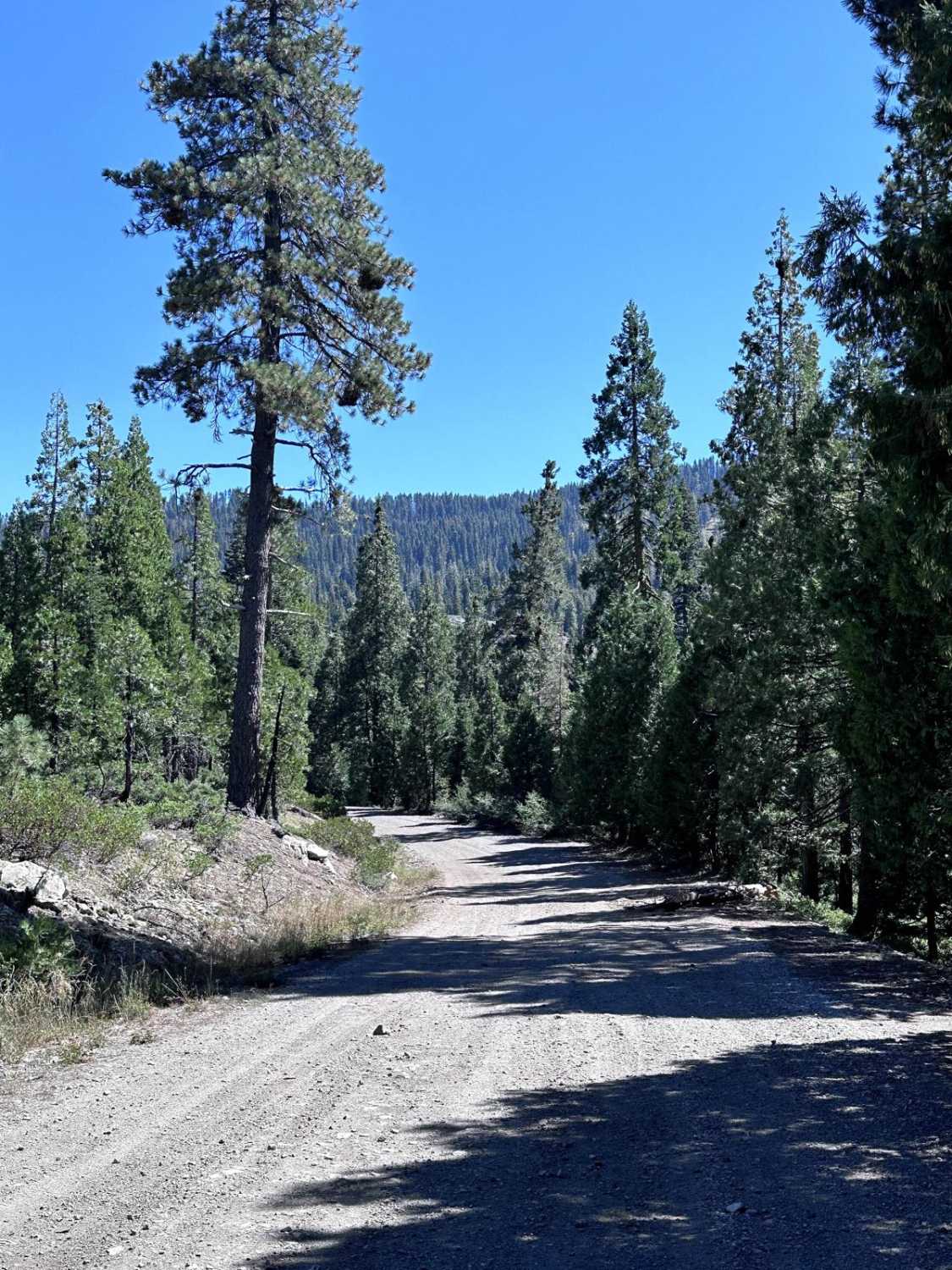 Texas Hill Road