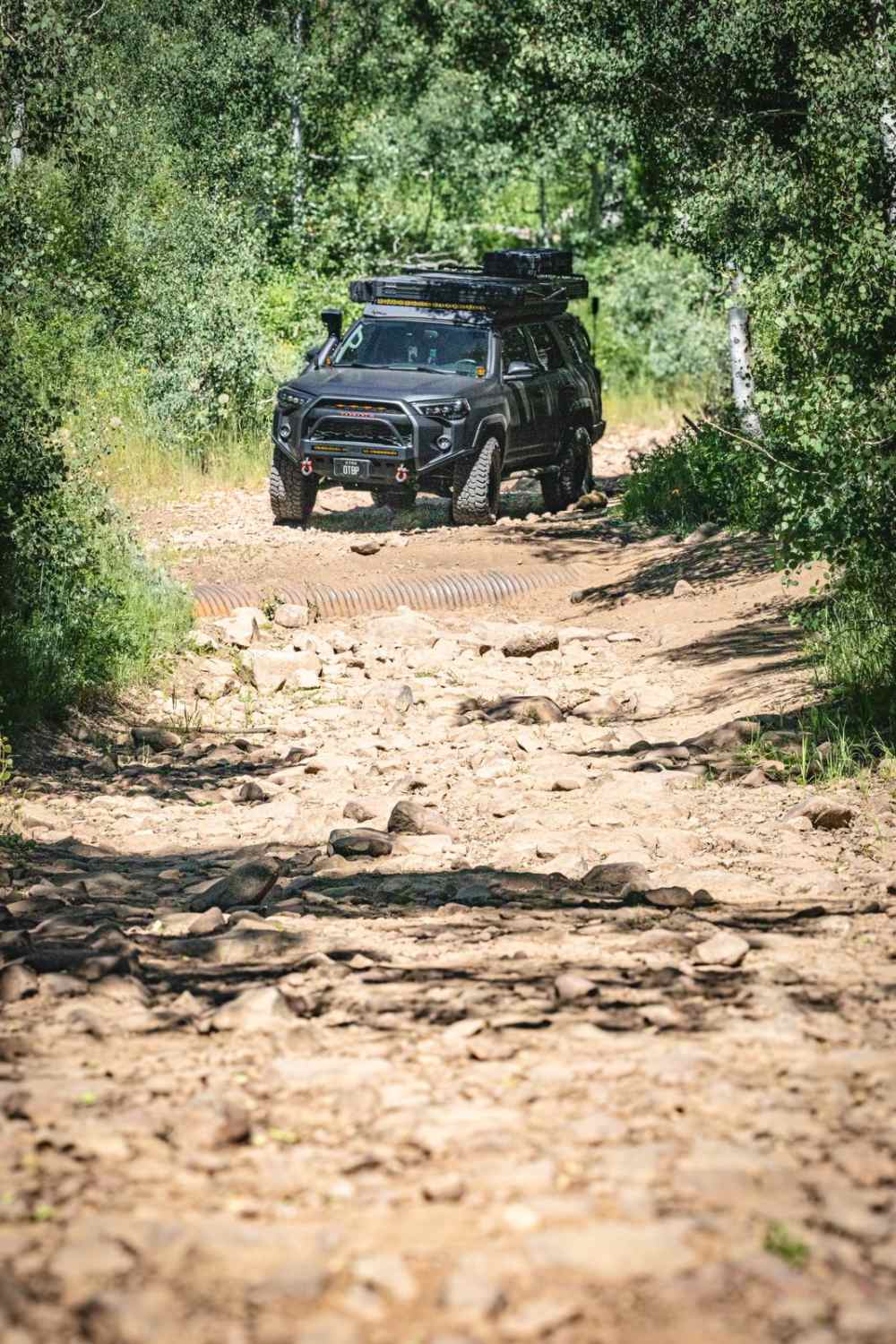 Cir-Main Canyon - FR 70046