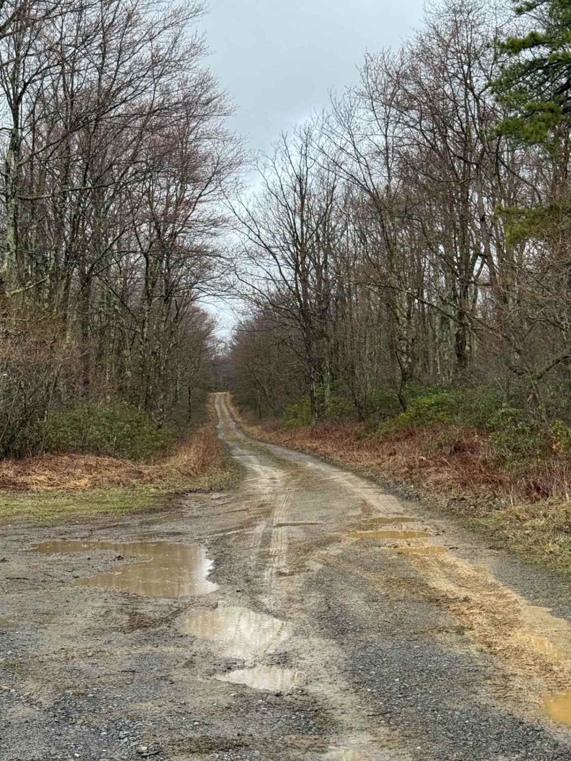 Eddy Lick Trail
