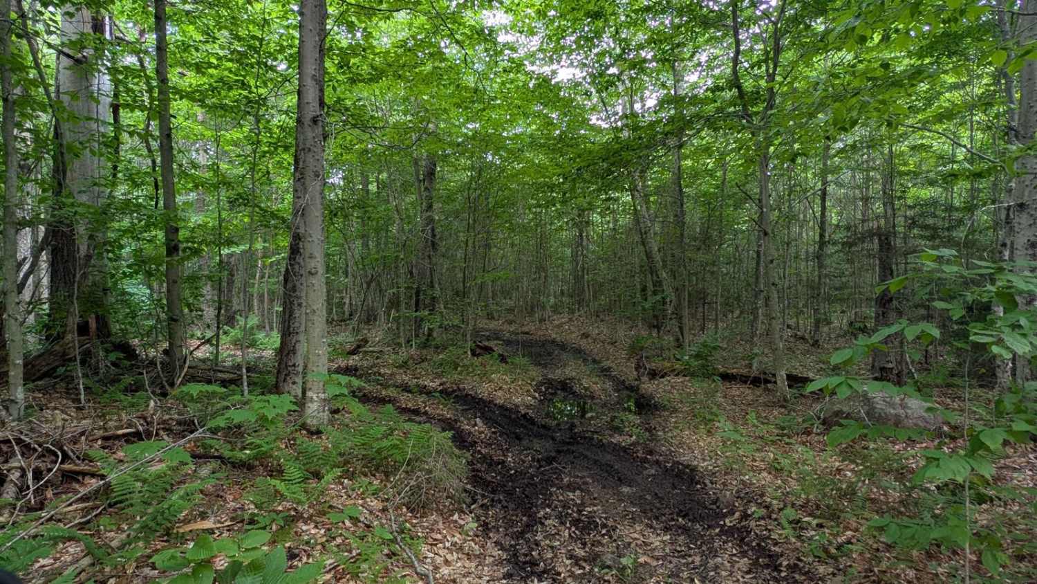 Long Pond Connector Road