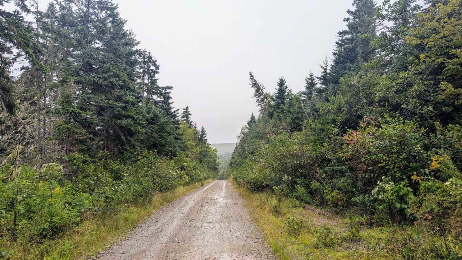 Strathglass Road