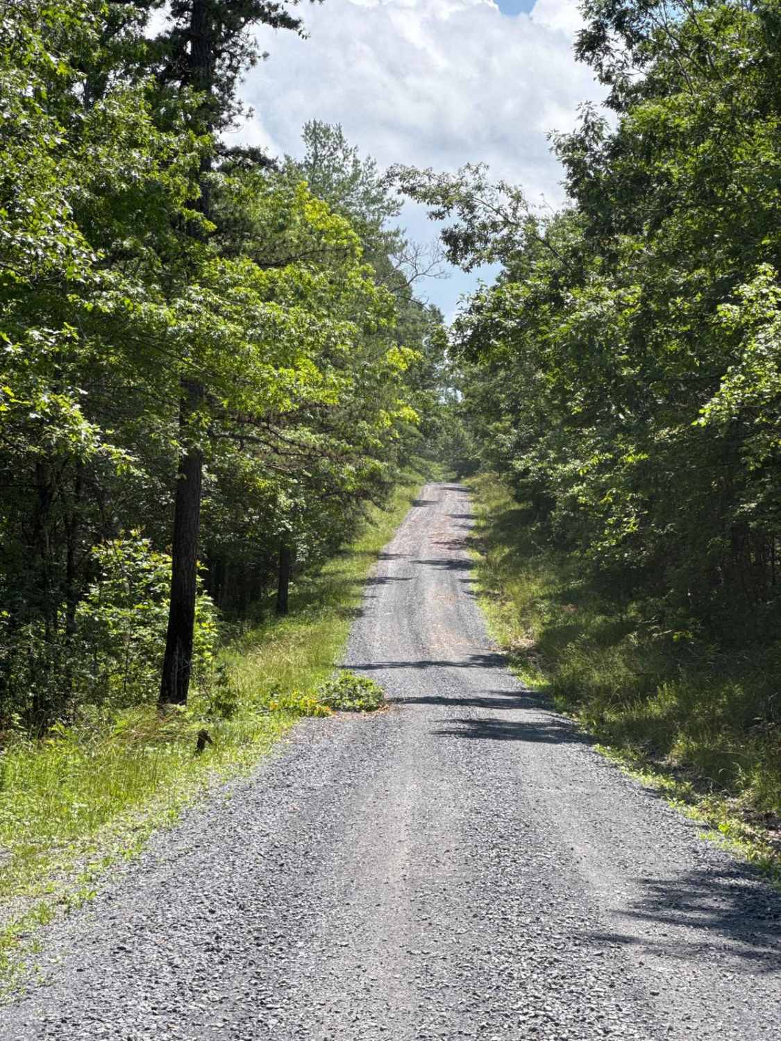 Chrisman Hollow - FS 274
