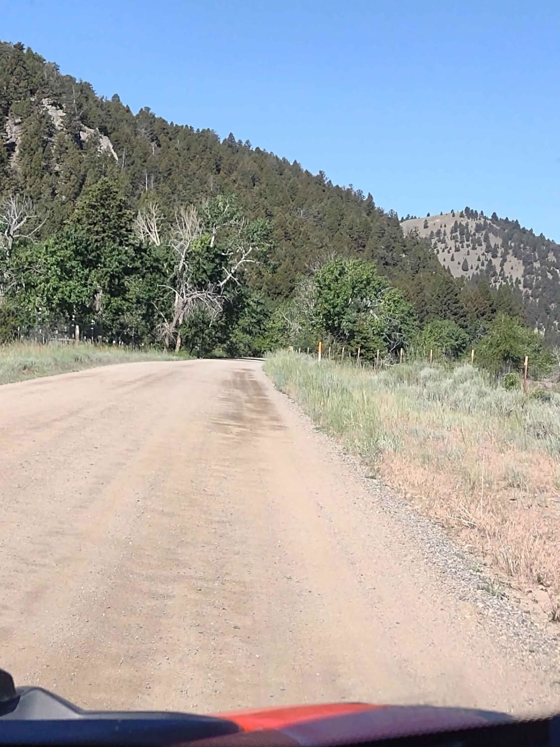 Cattle Drive to Bear Gulch