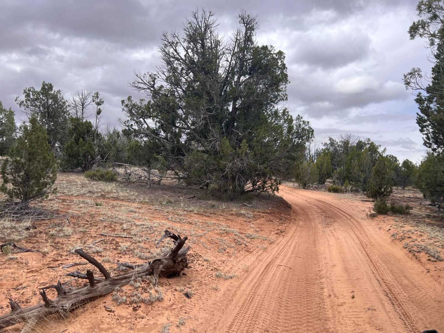 Hog Canyon Overlook (101D/103)