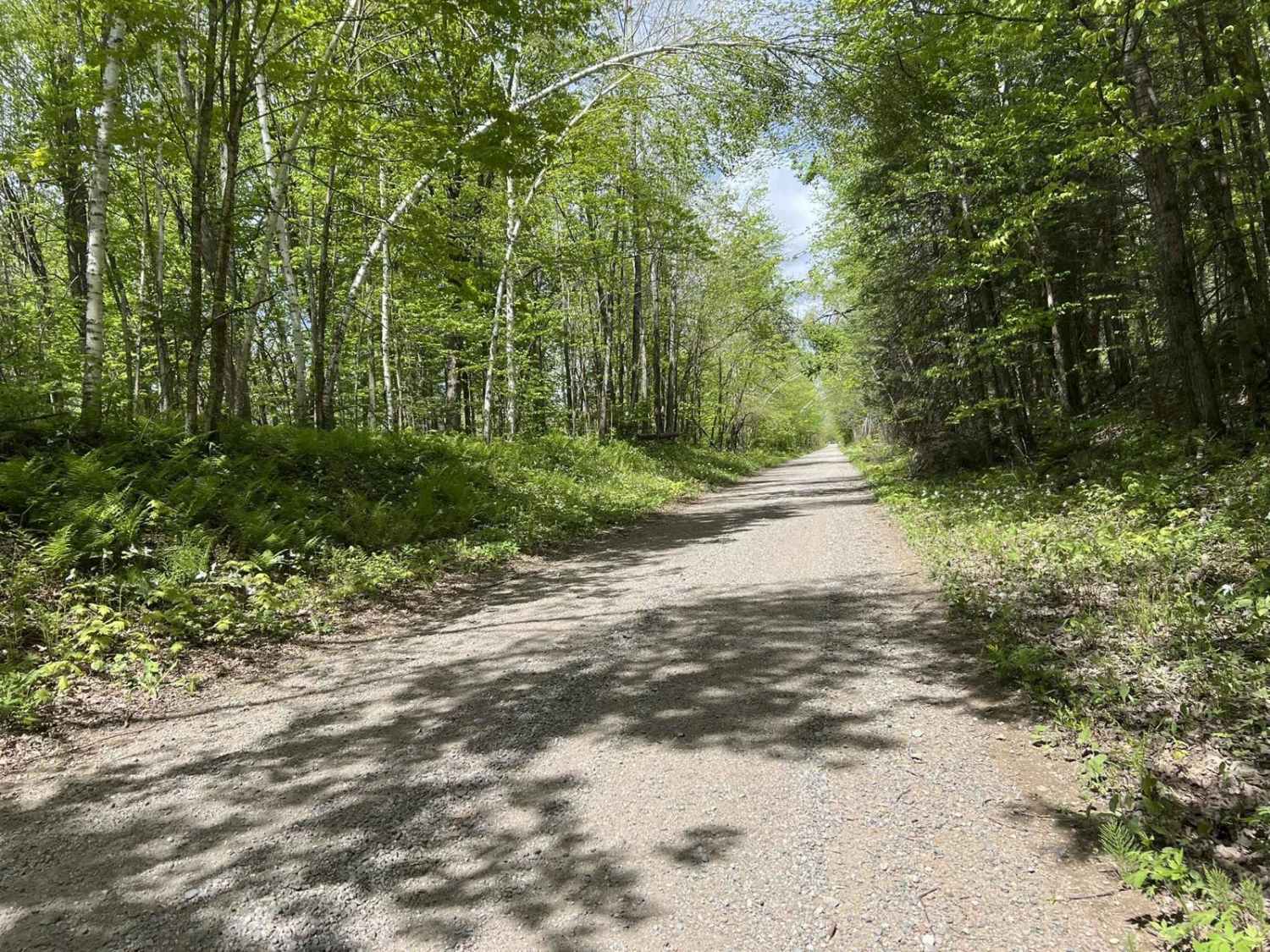 Nicolet State Trail Laona