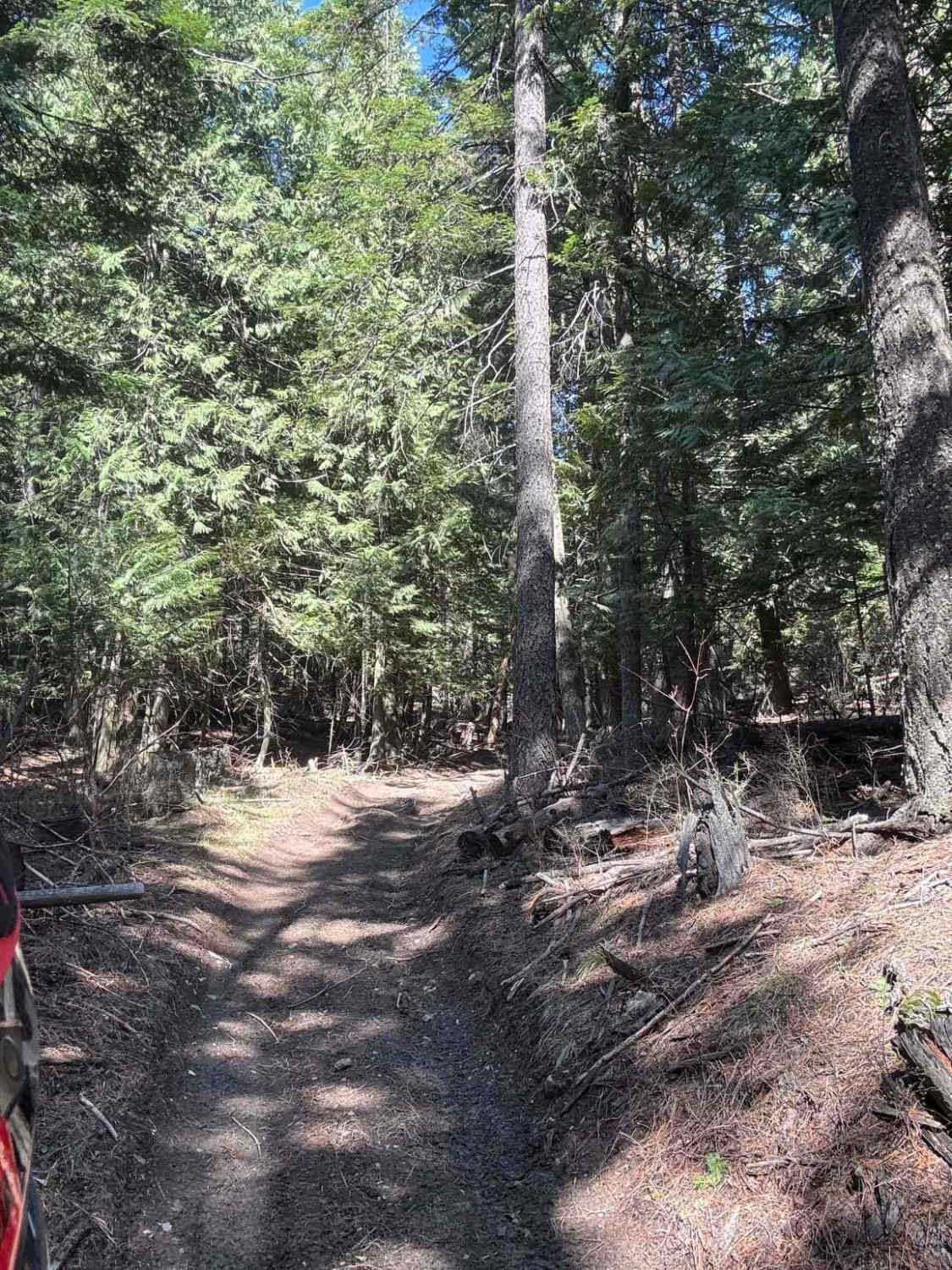 East Fork Gold Creek Trail 763