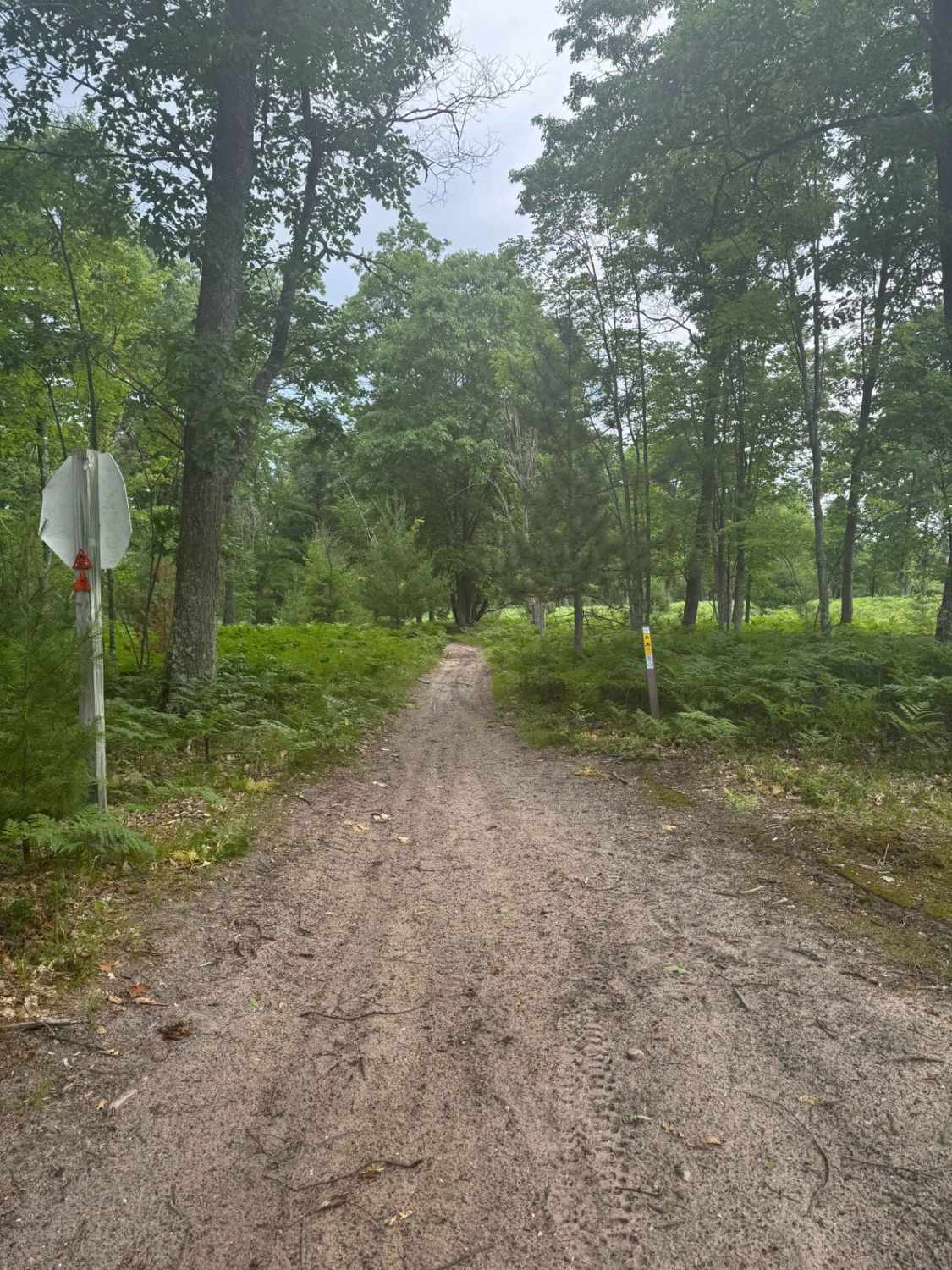 North Missaukee Central MCCCT