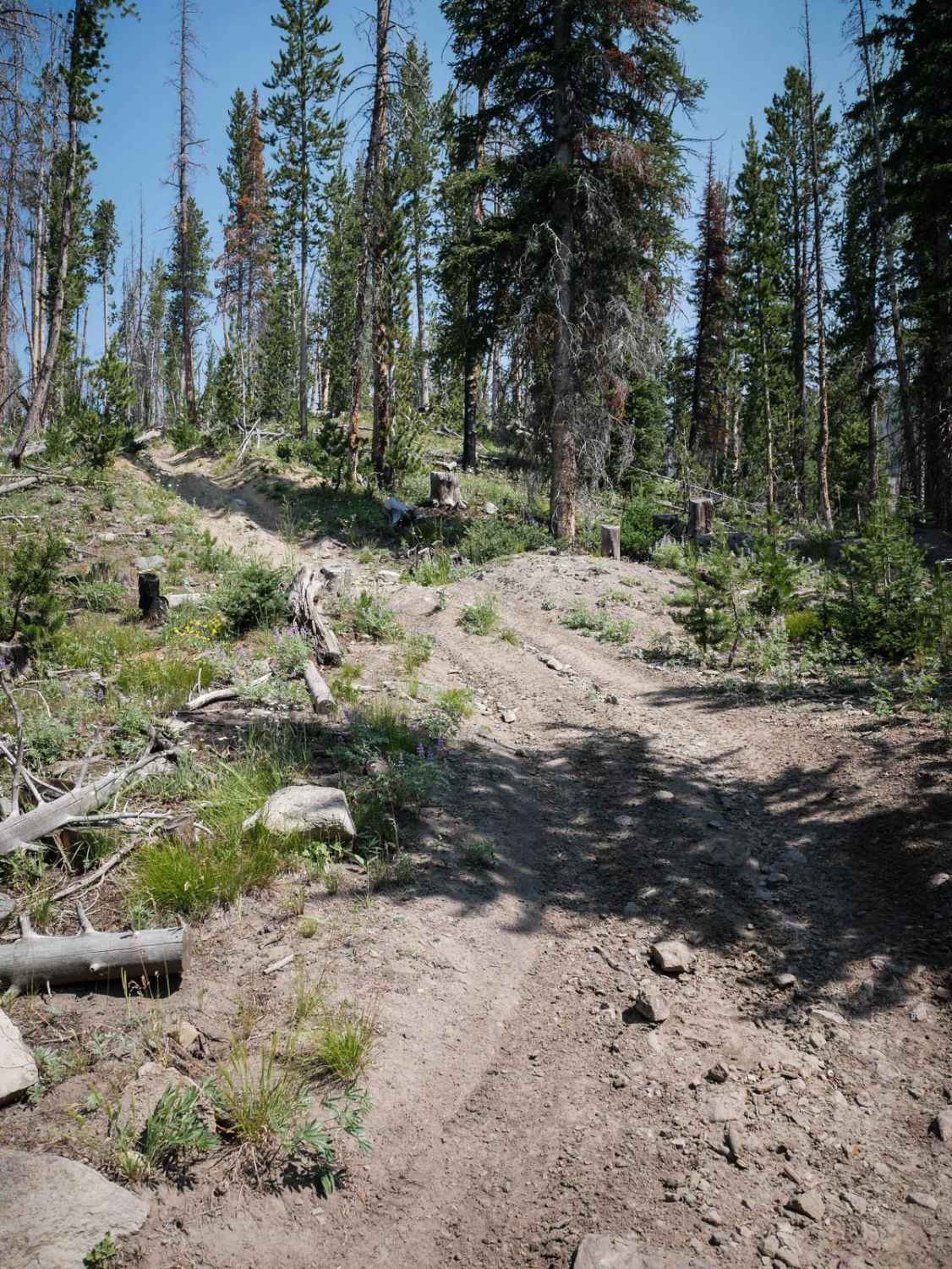 Fanny's Hole ATV 